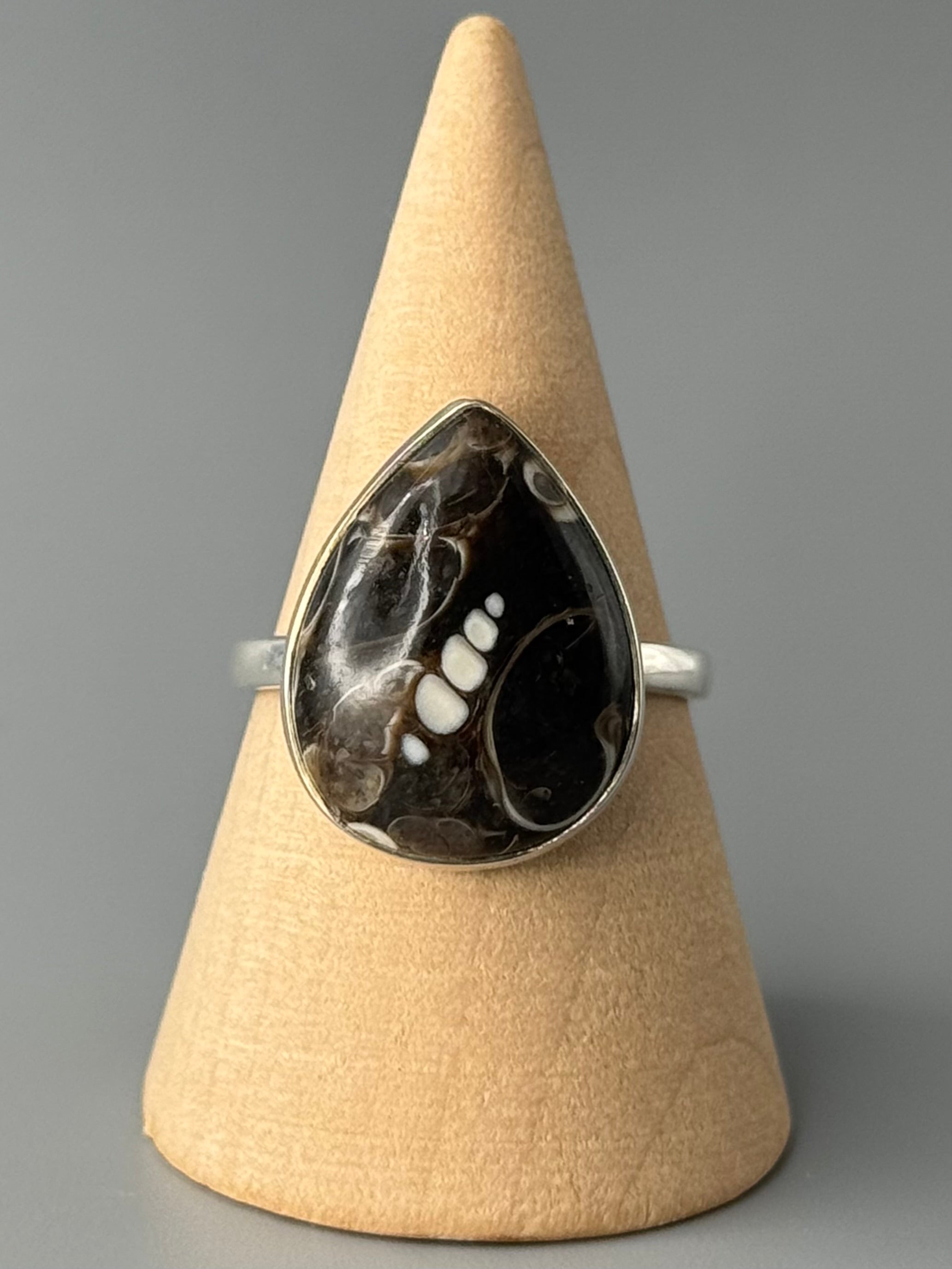 •TURRITELLA FOSSIL - TEAR• simple bezel silver ring (size 10)