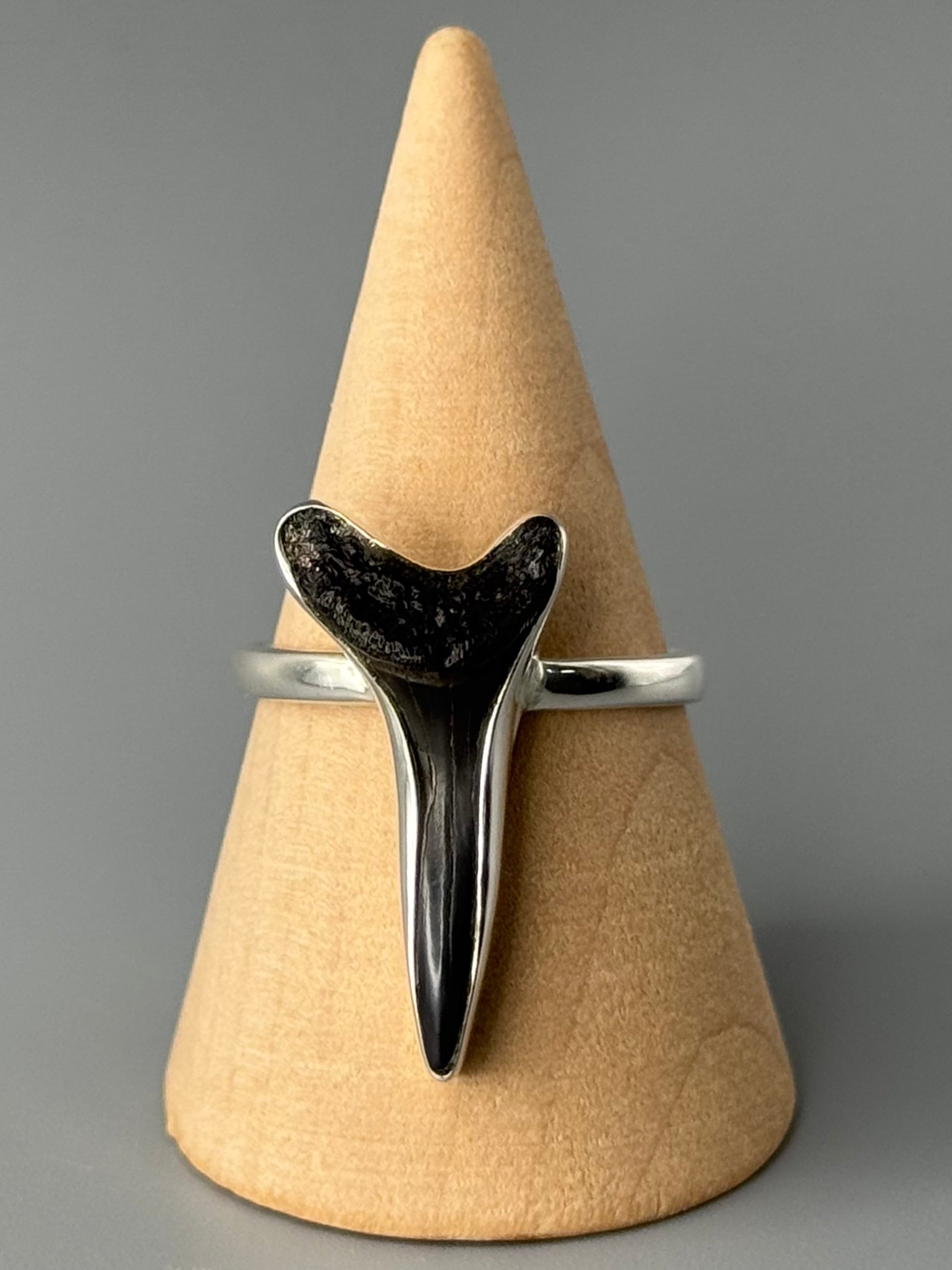 •FOSSILIZED SHARK TOOTH• simple bezel silver ring (size 10)