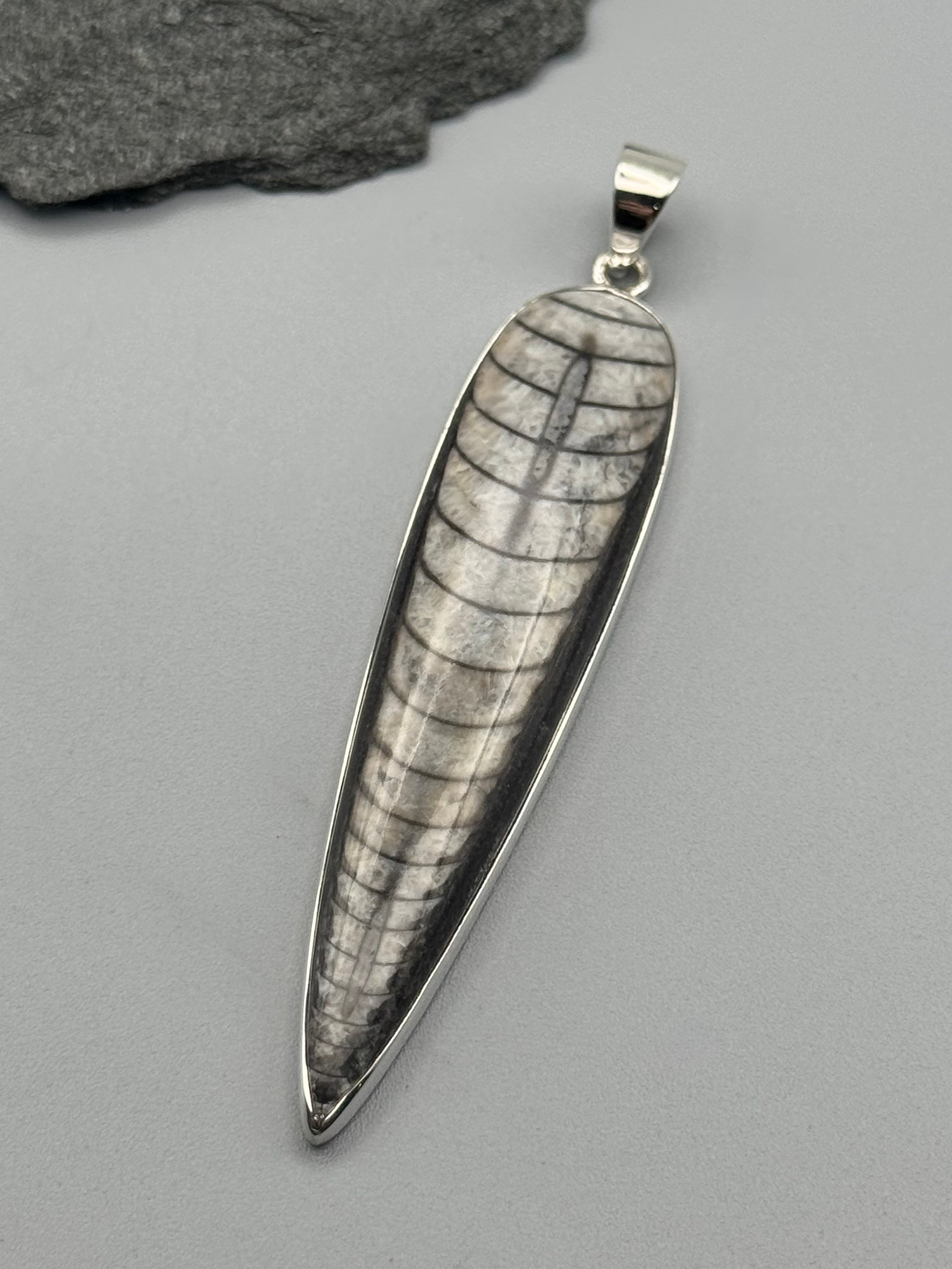 •ORTHOCERAS FOSSIL - SPEAR TEAR 5• sterling silver pendant