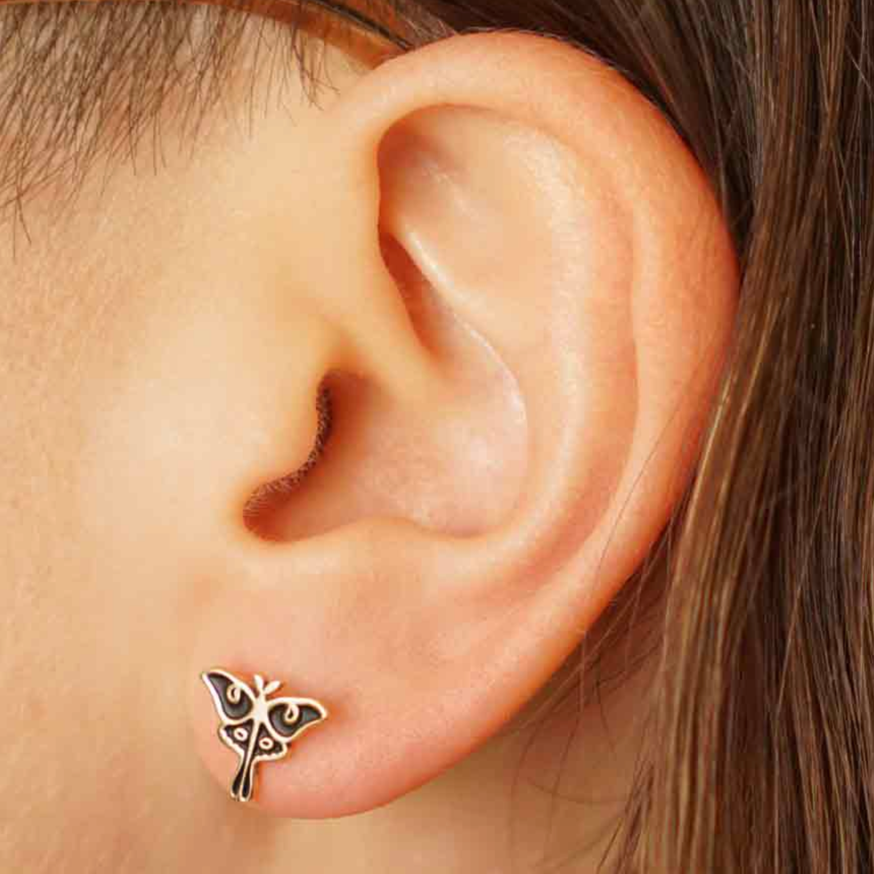 • LITTLE LUNA MOTH • bronze stud earrings