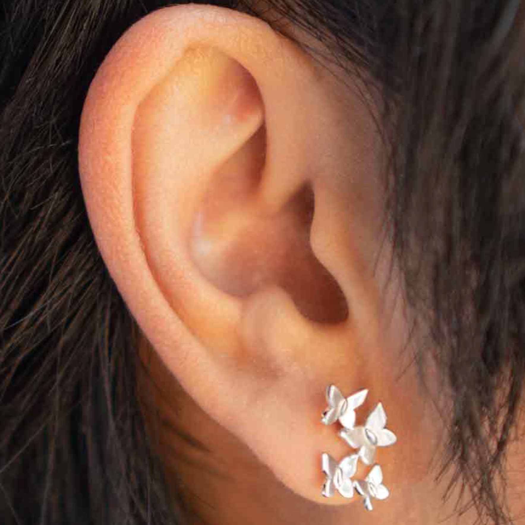 • KALEIDOSCOPE OF BUTTERFLIES • silver stud earrings