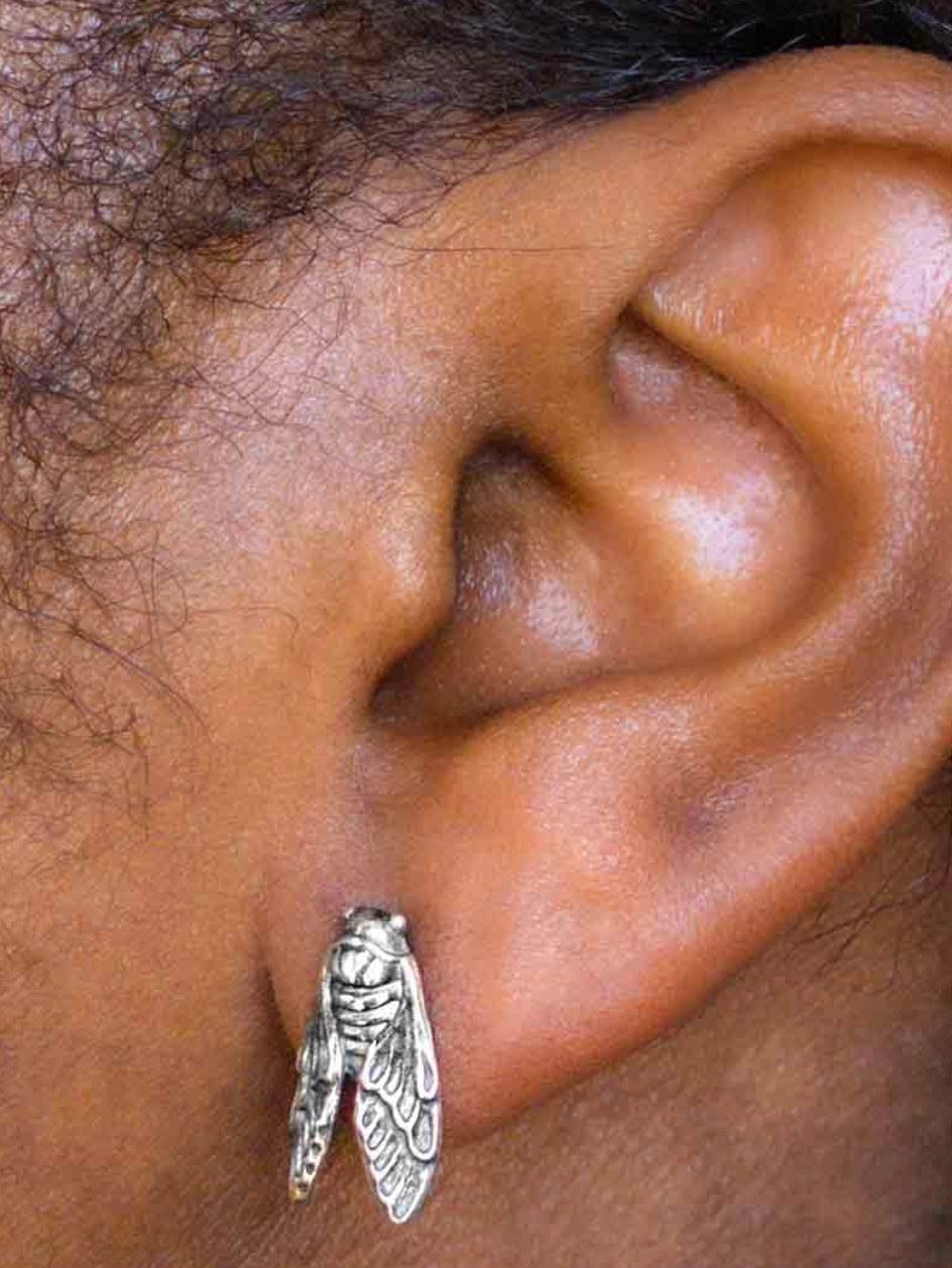 •CICADA• silver stud earrings