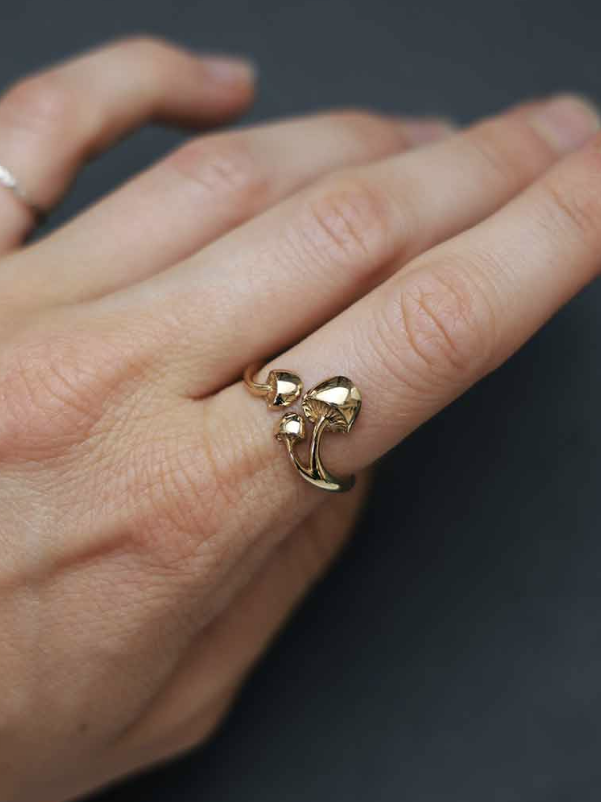 •THREE MUSHROOM• adjustable bronze ring