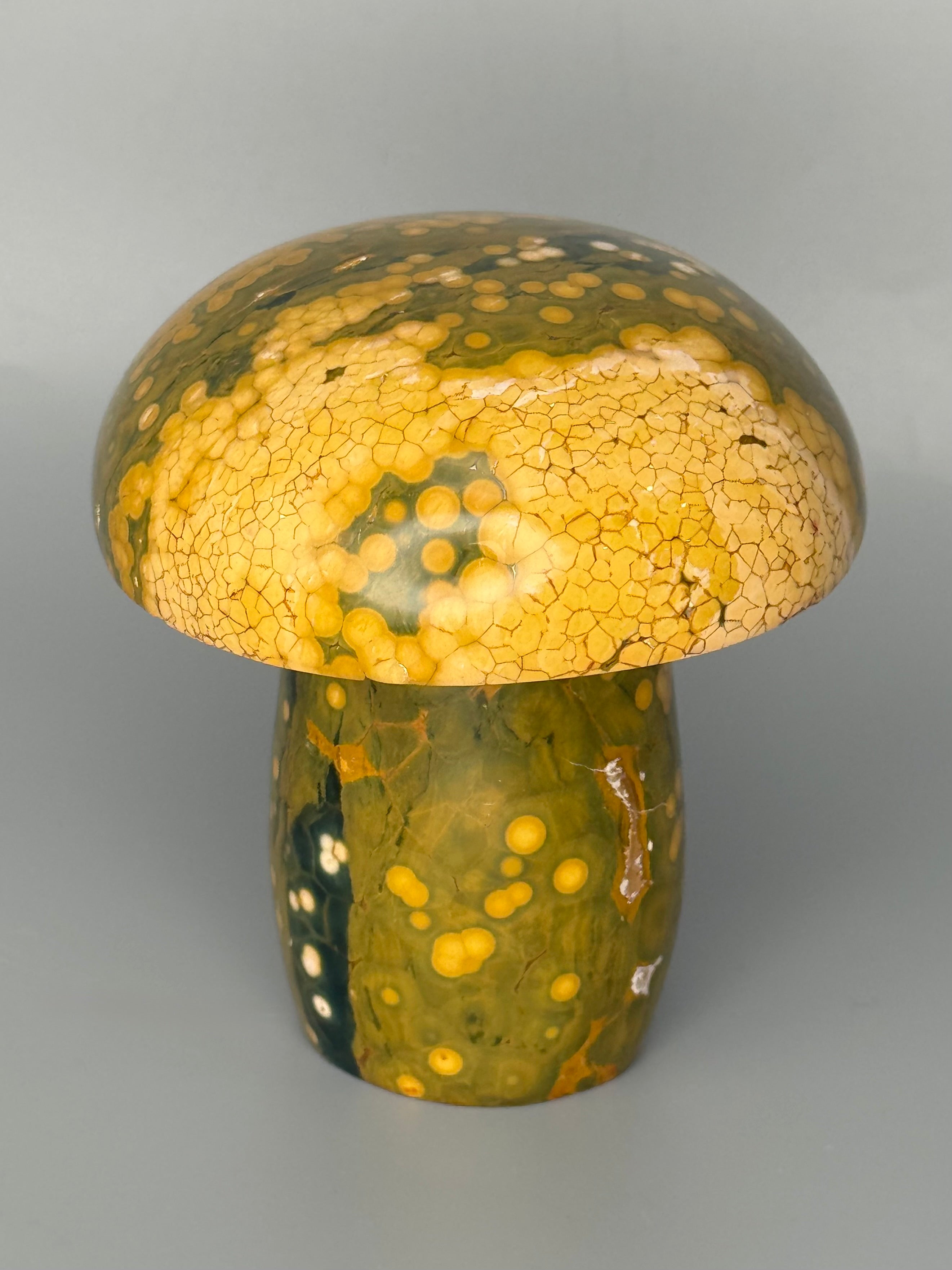 •KABAMBY OCEAN JASPER• carved mushroom