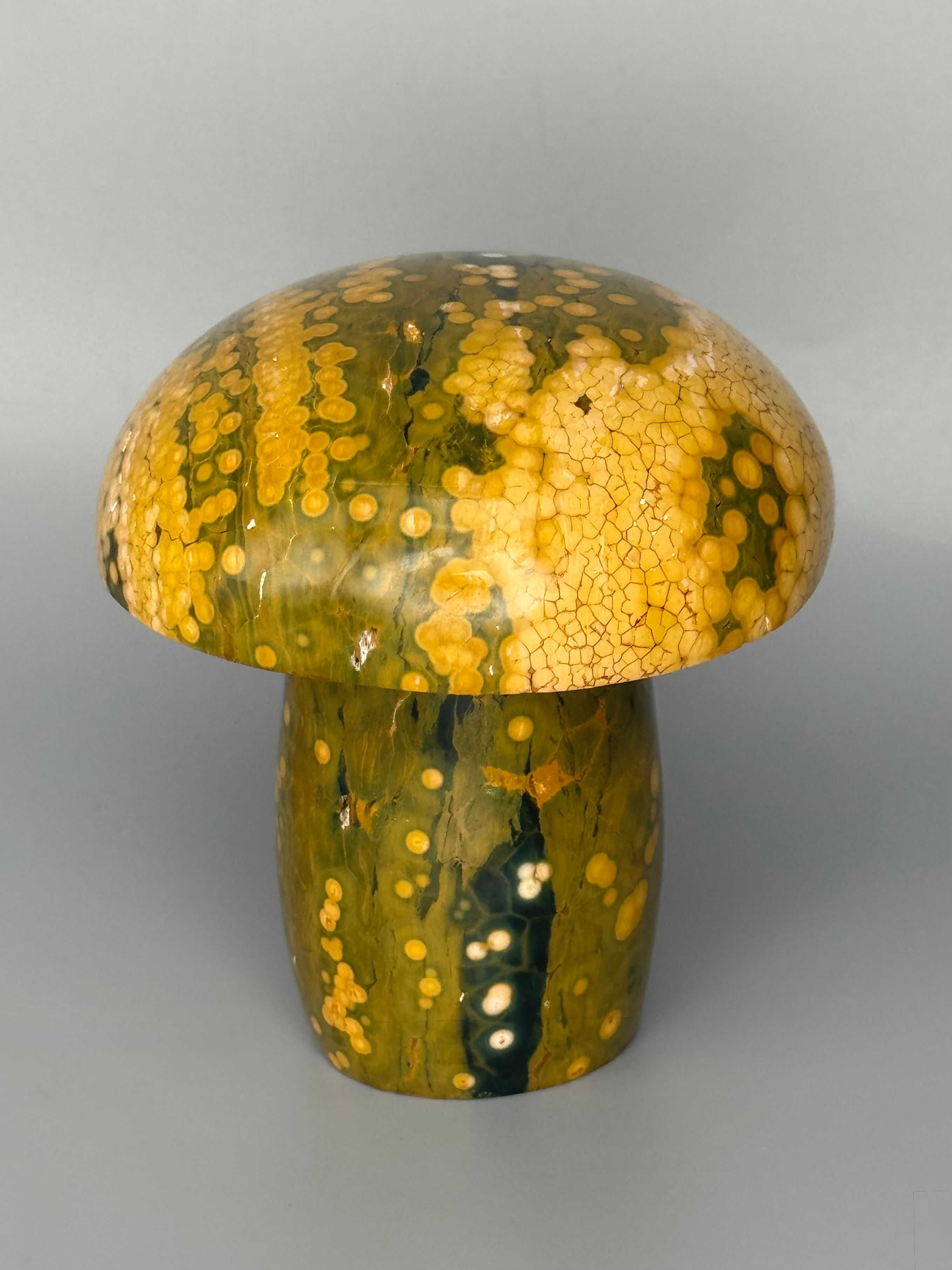 •KABAMBY OCEAN JASPER• carved mushroom