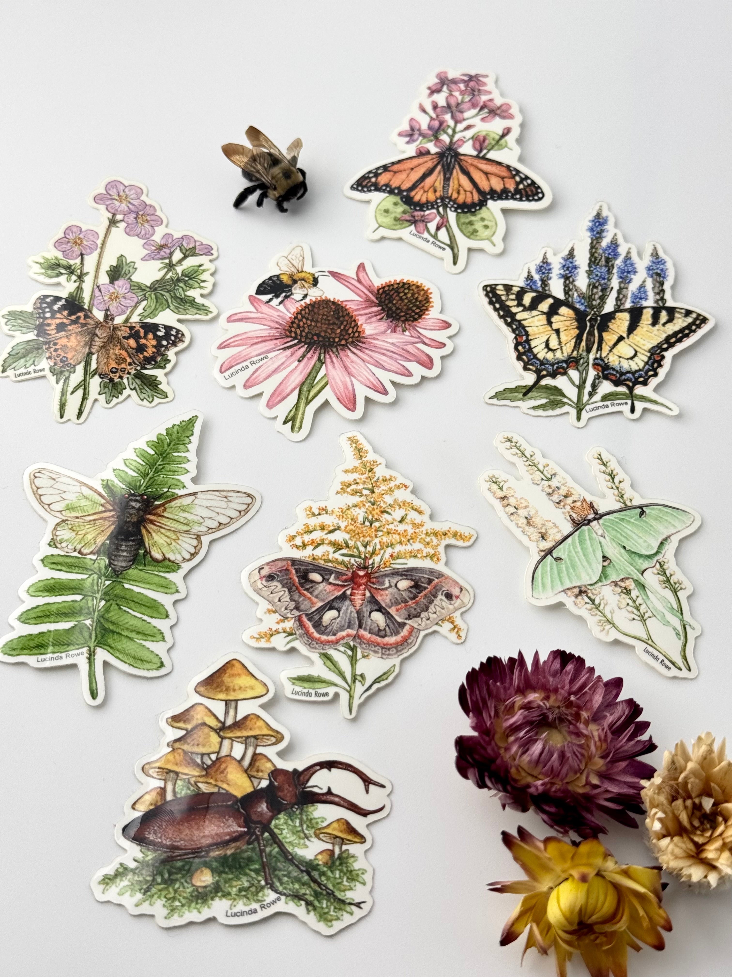 •BUTTERFLIES & BUGS• vinyl stickers