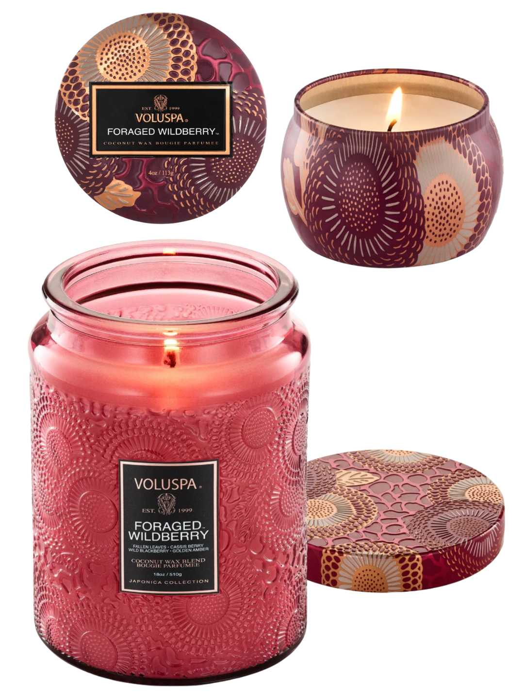 •FORAGED WILDBERRY• fragrance