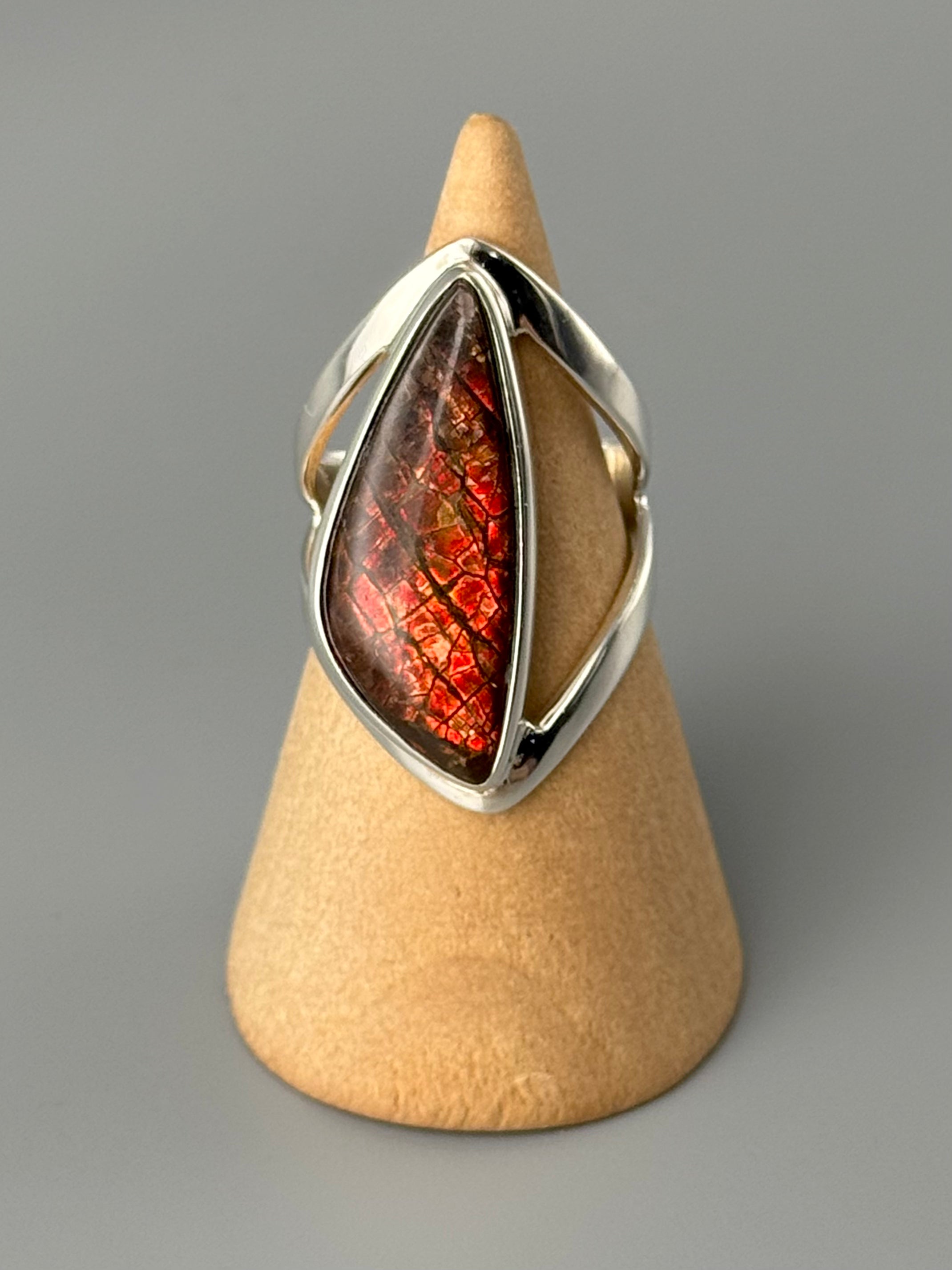 •AMMOLITE - TRUSS• silver ring (size 7)