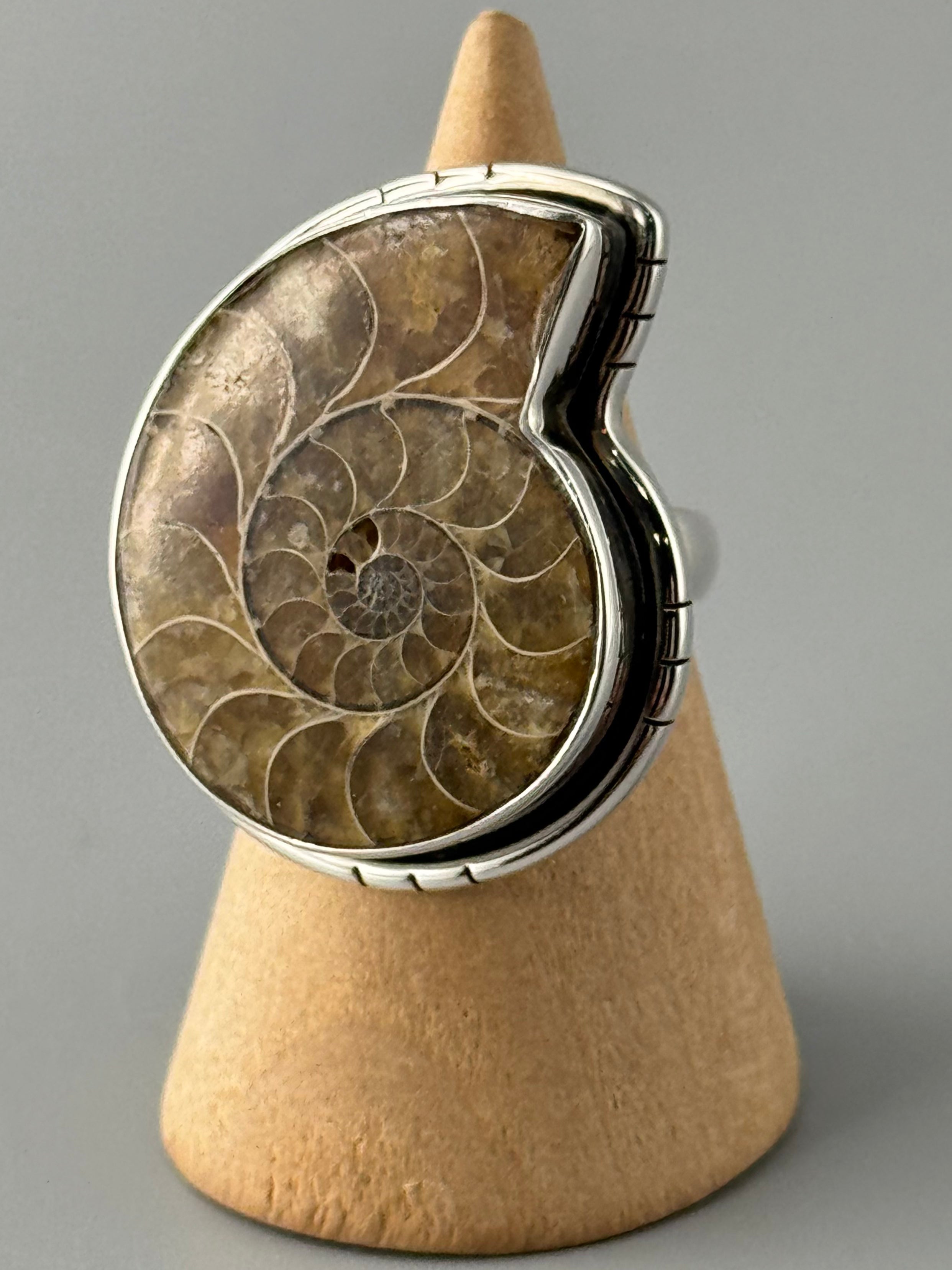 •AMMONITE• tiered bezel silver ring (size 9)