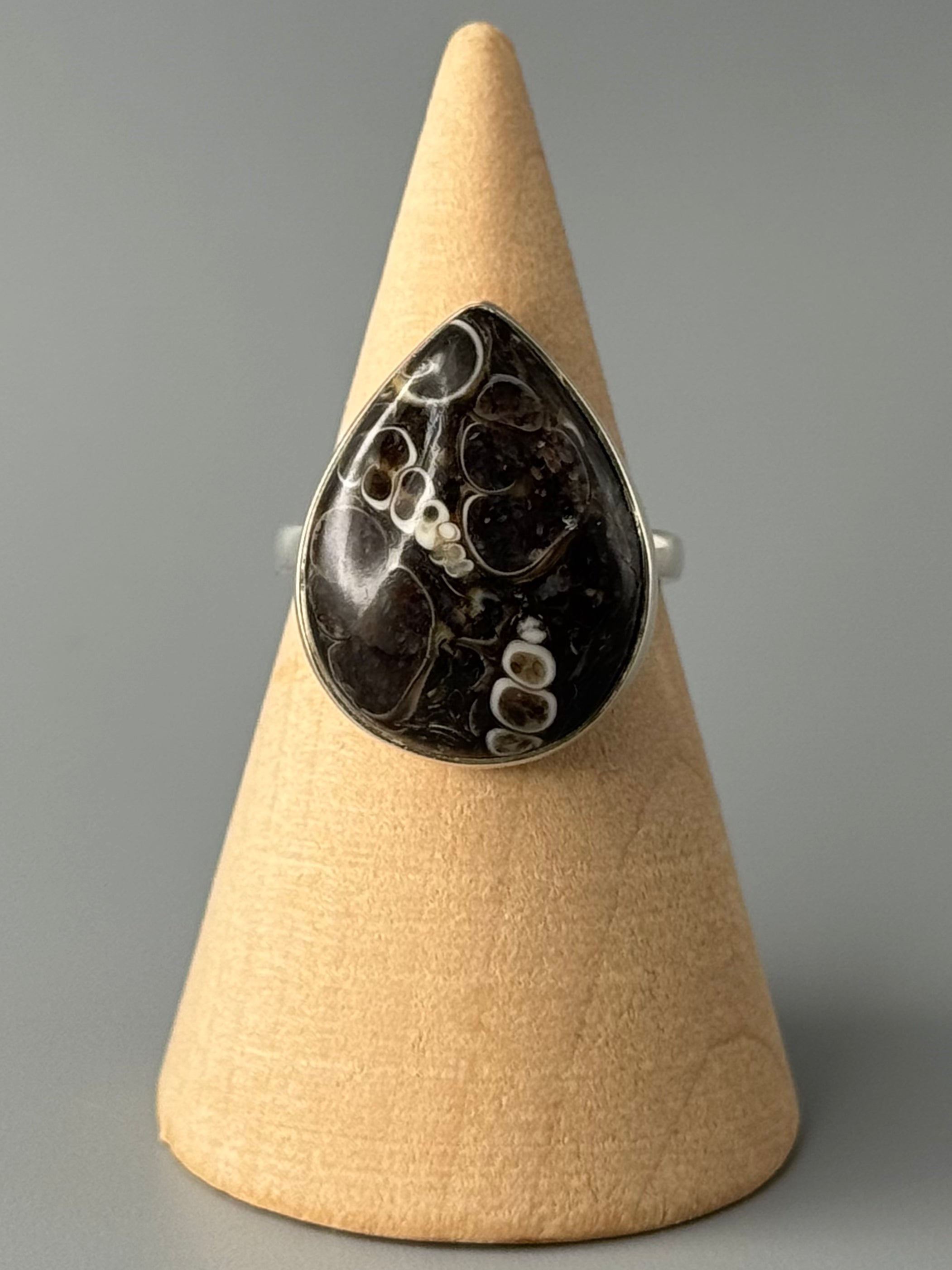 •TURRITELLA FOSSIL - TEAR - 2• simple bezel silver ring (size 6)