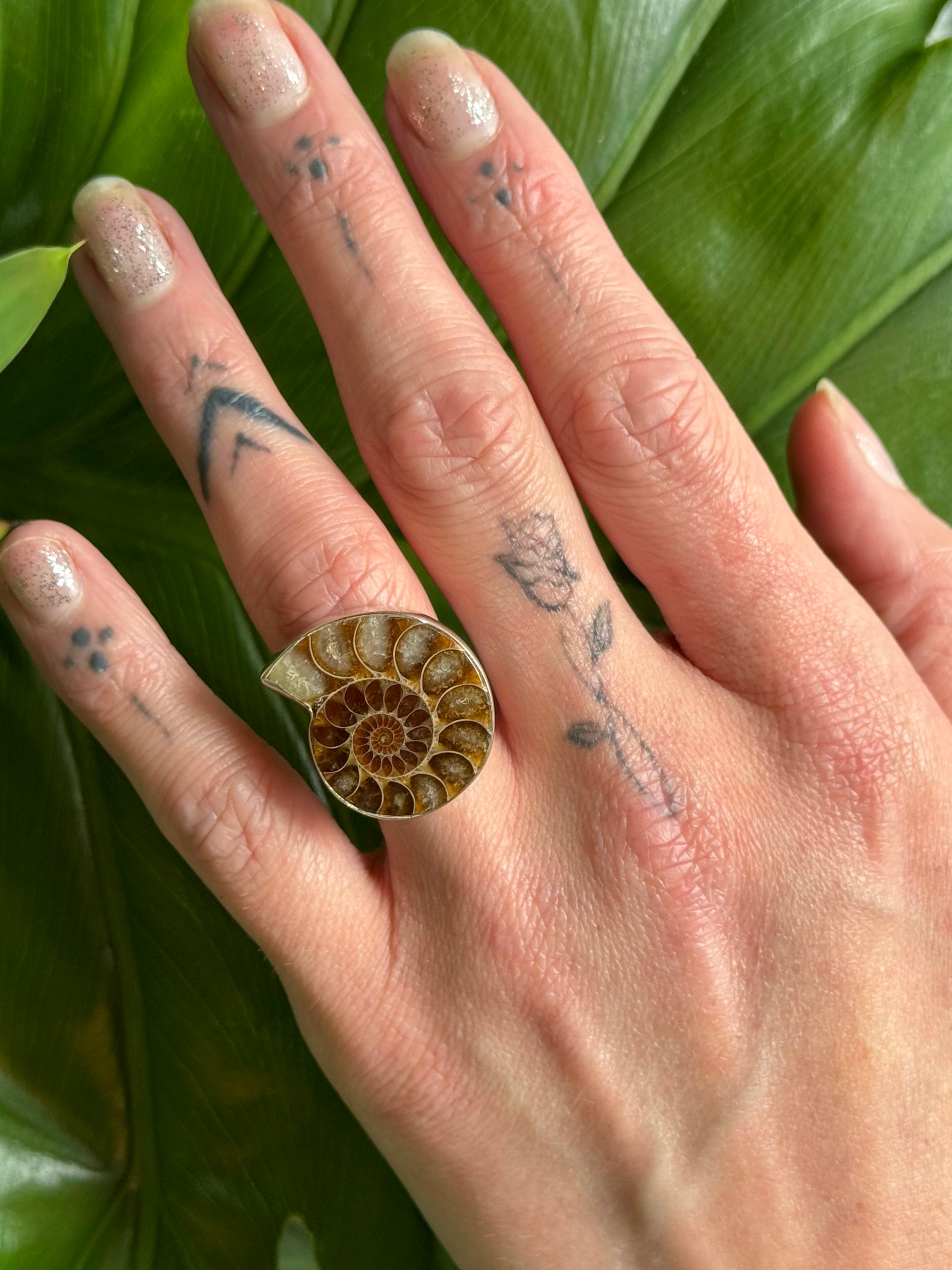 •AMMONITE FOSSIL - 2• silver ring (size 6)
