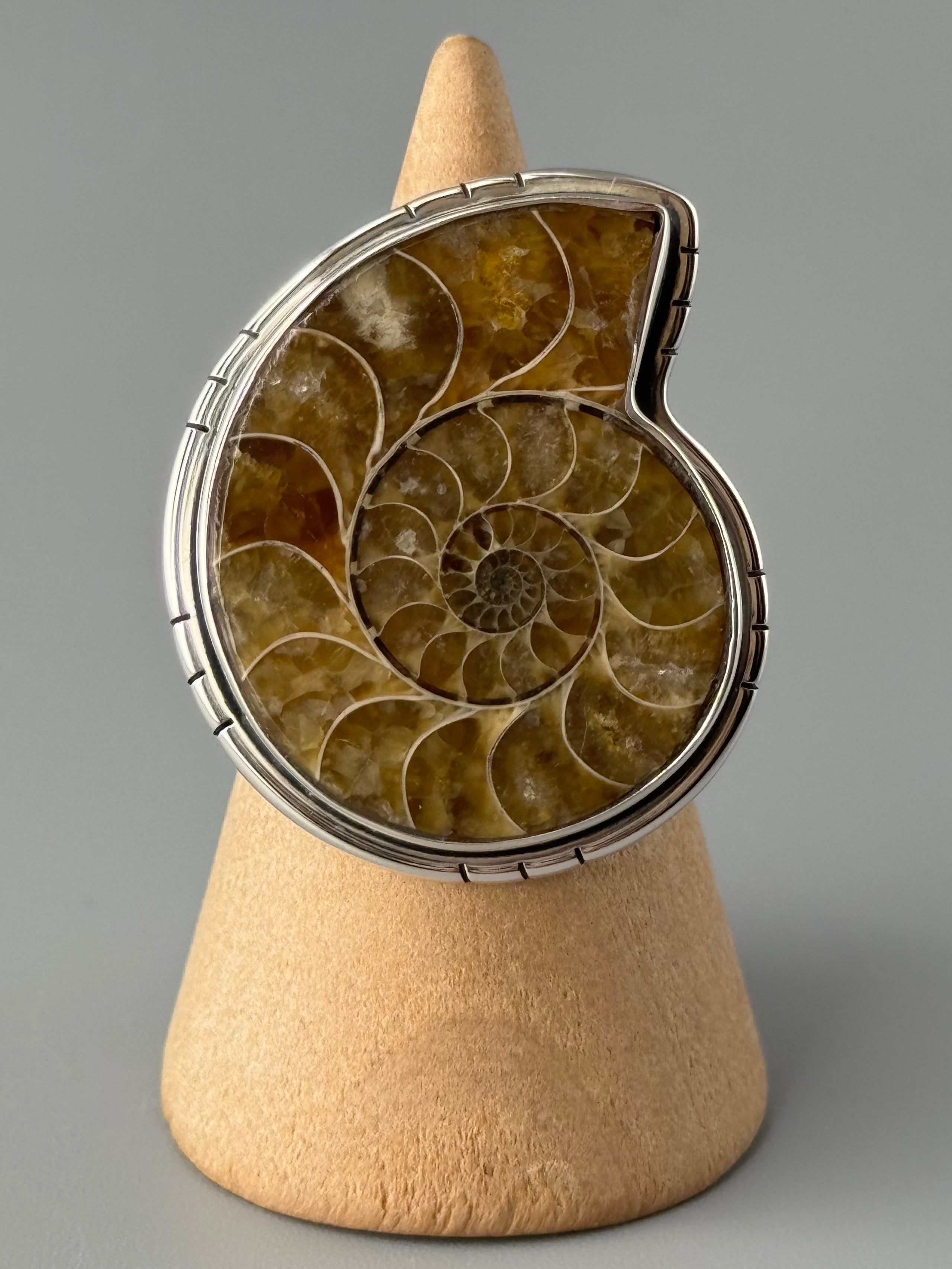 •AMMONITE• tiered bezel silver ring (size 9)