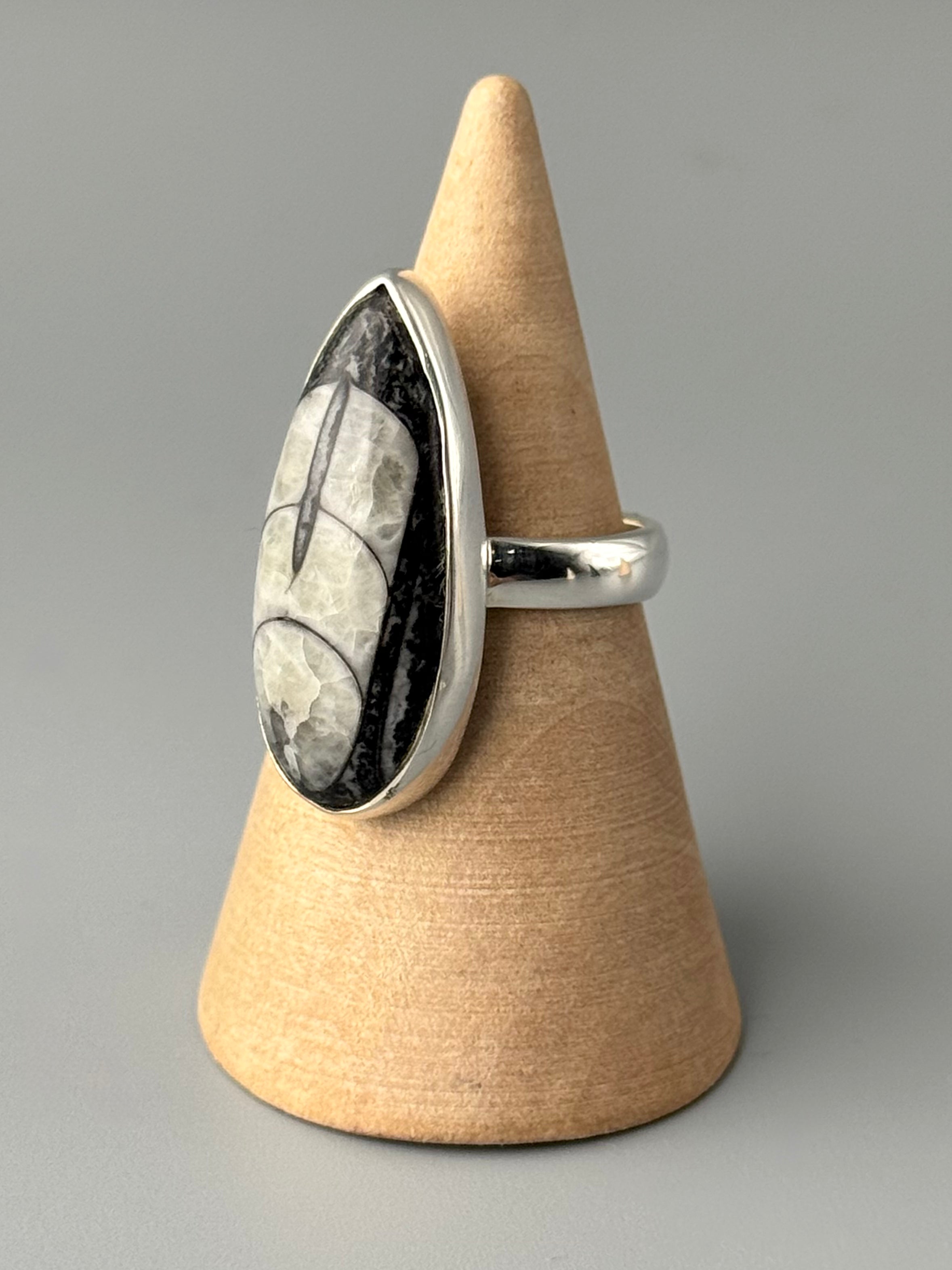 •ORTHOCERAS FOSSIL - 1• silver ring (size 7)