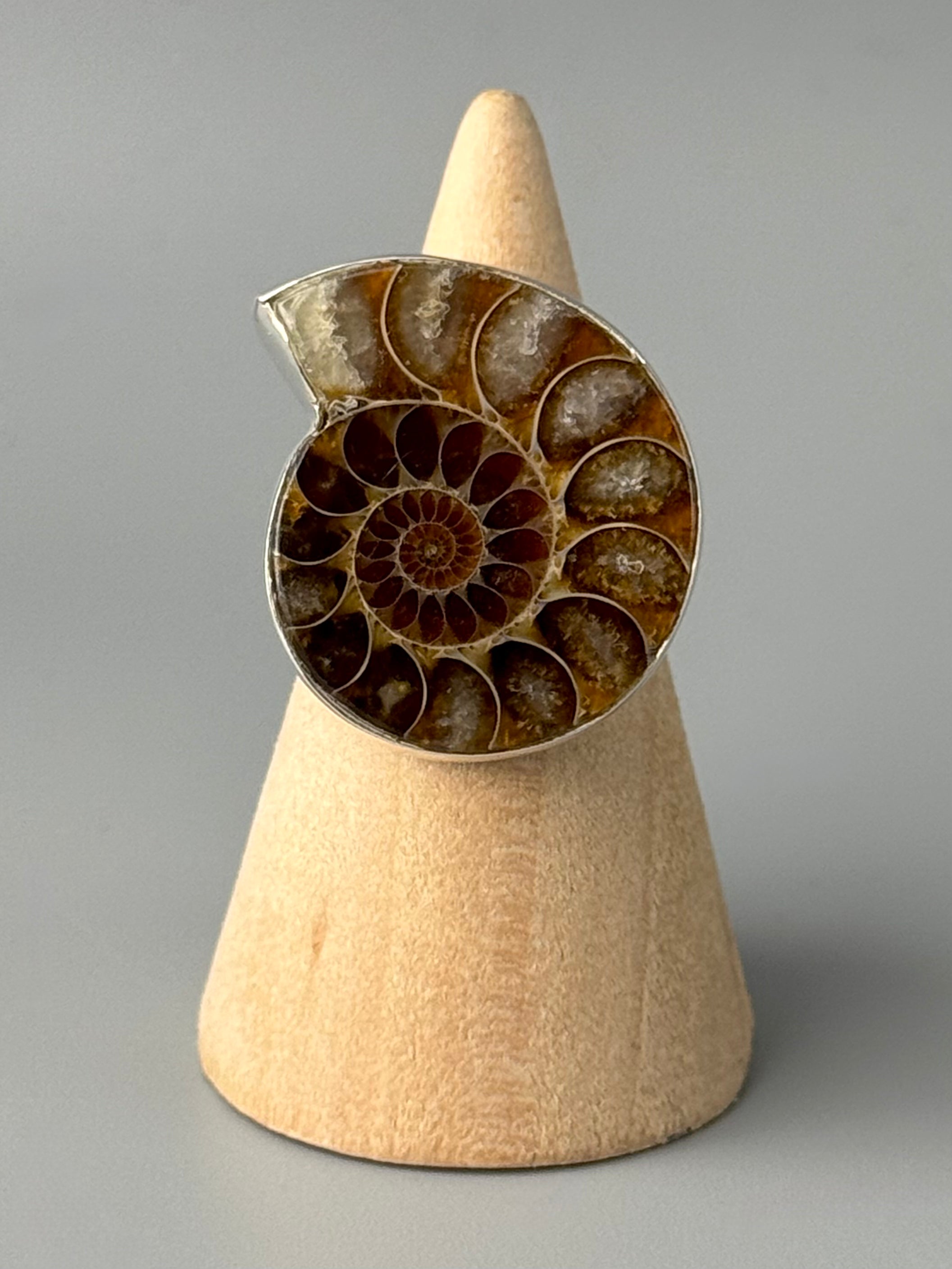 •AMMONITE FOSSIL - 2• silver ring (size 6)