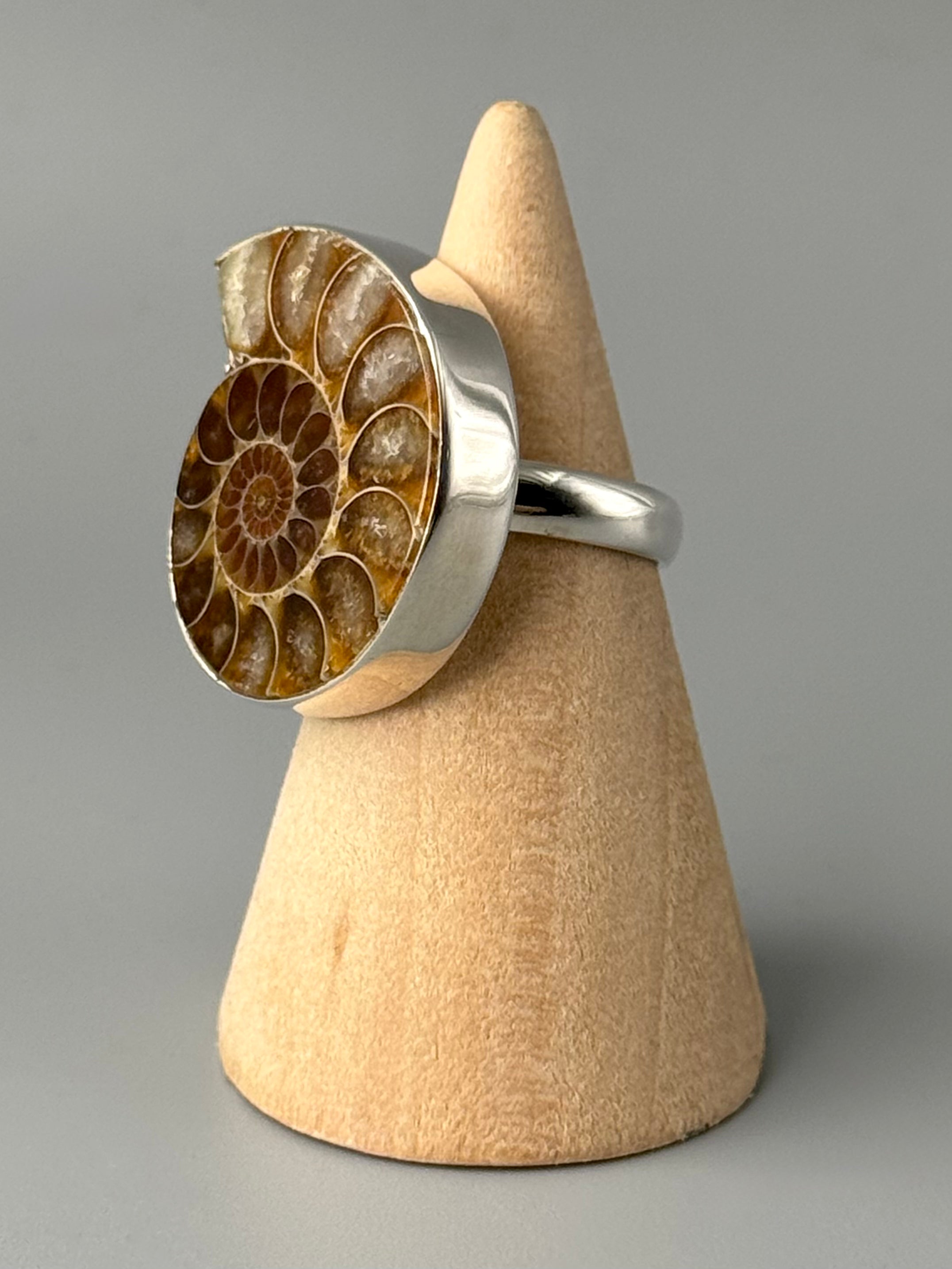 •AMMONITE FOSSIL - 2• silver ring (size 6)