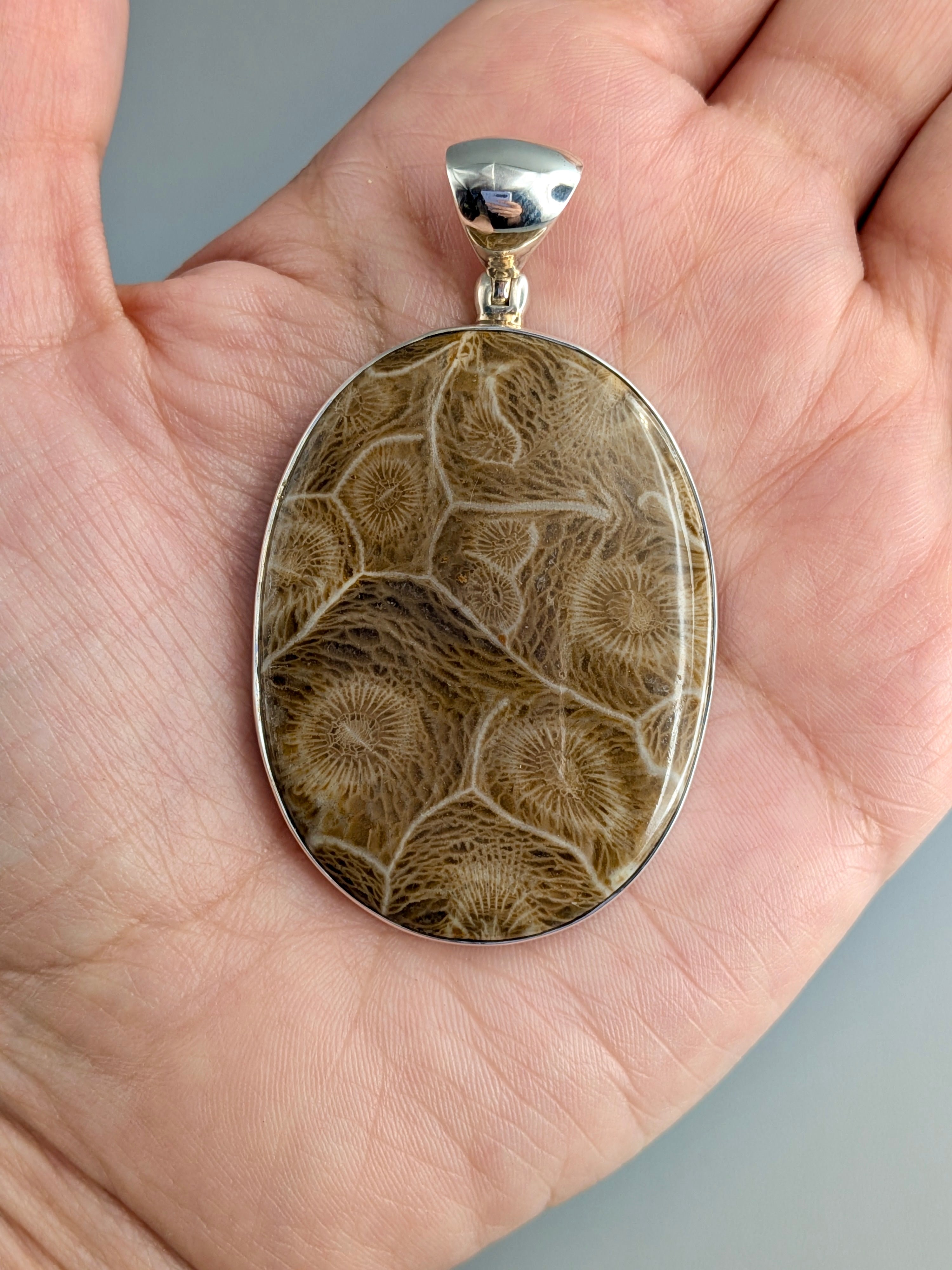 •FOSSILIZED CORAL OVAL• sterling silver pendant