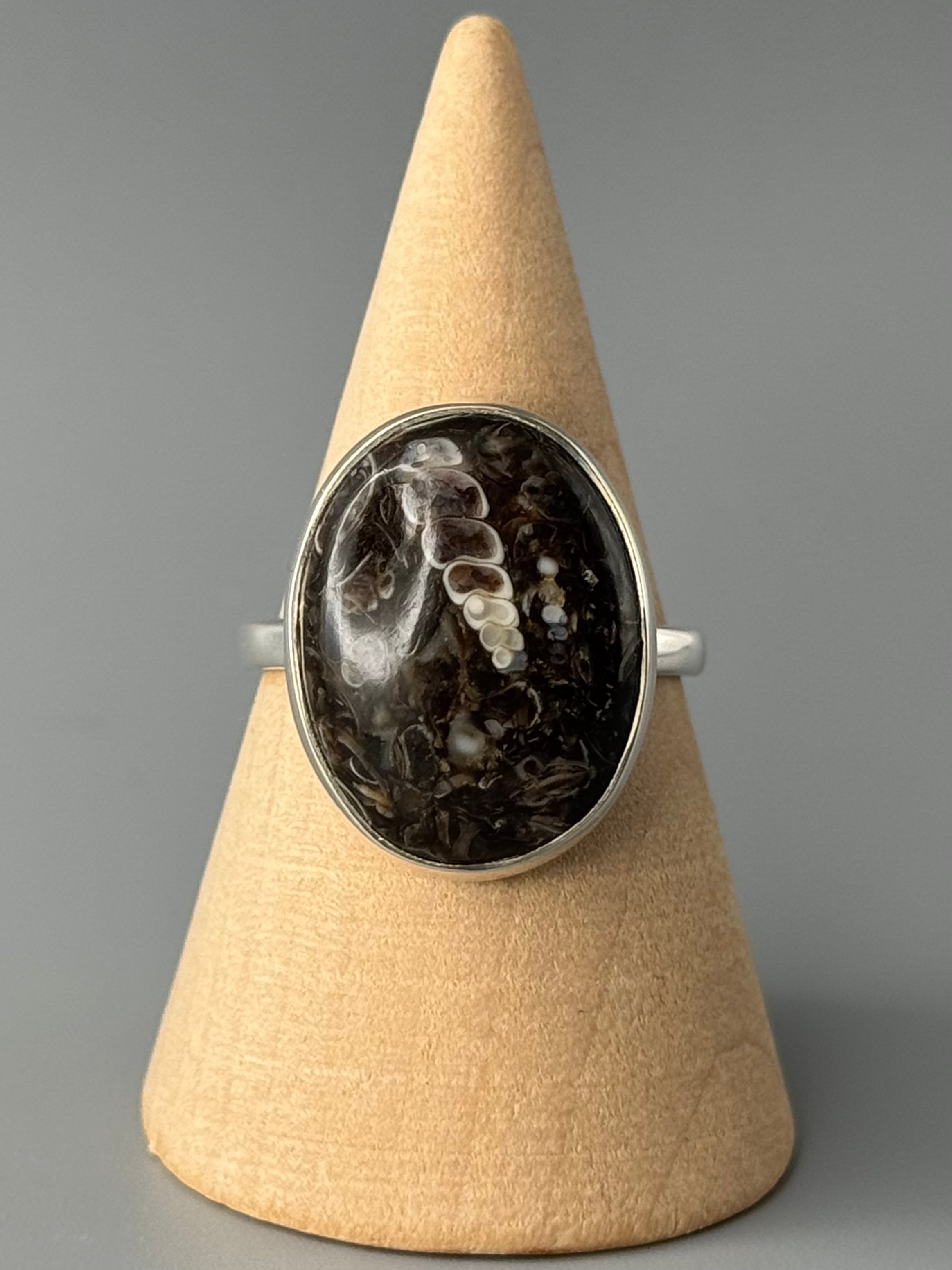 •TURRITELLA FOSSIL - OVAL• simple bezel silver ring (size 9)