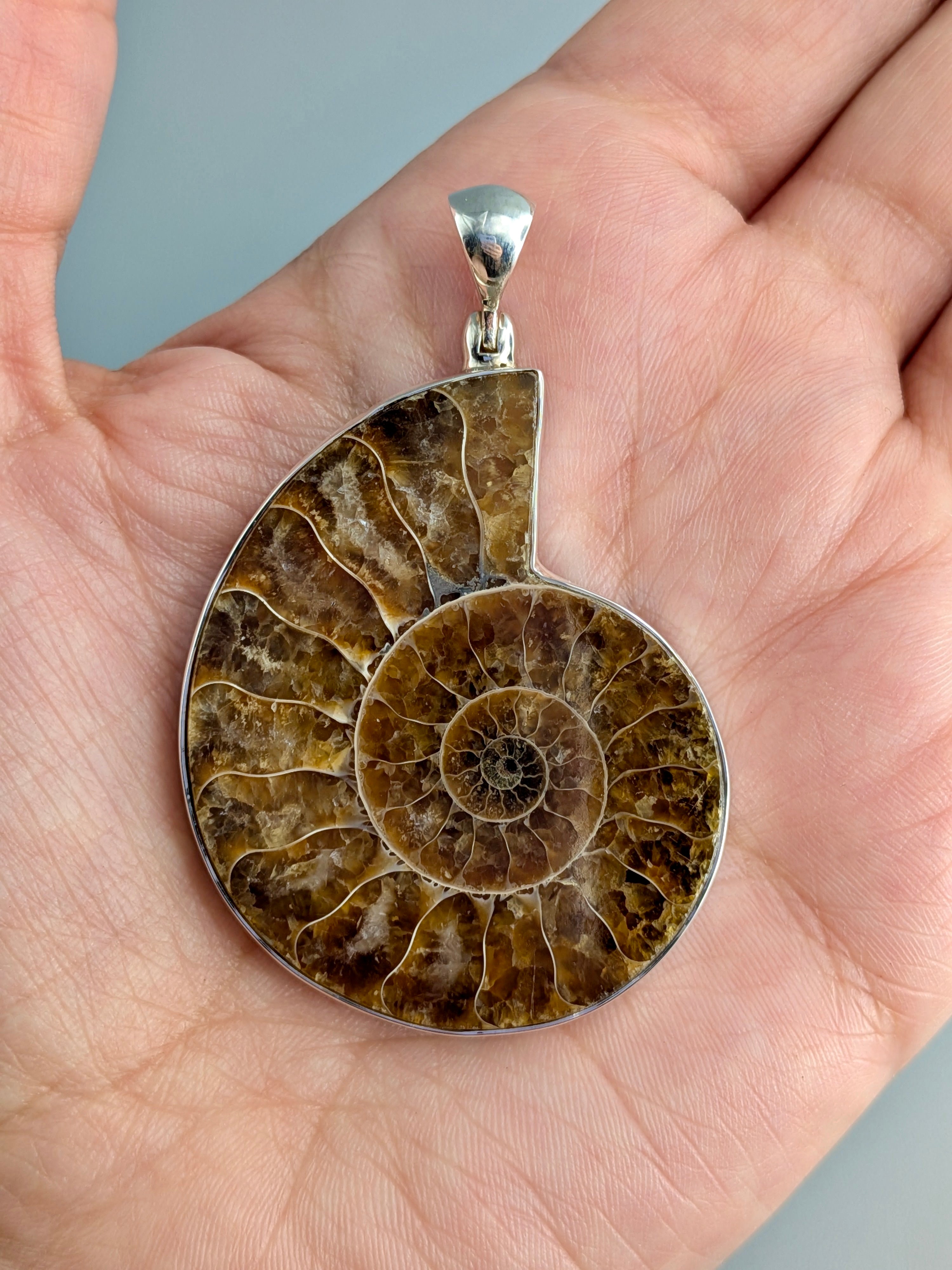 •AMMONITE - LARGE• sterling silver pendant
