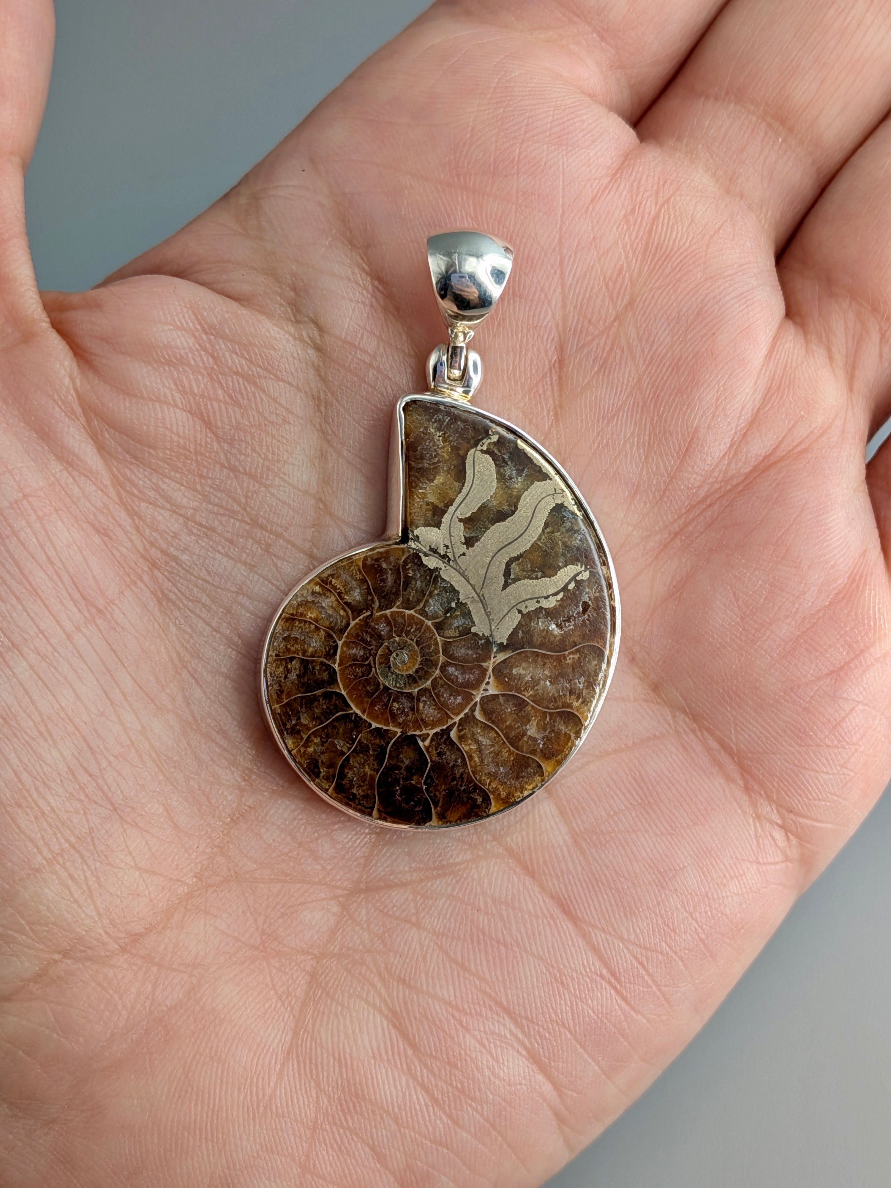 •PYRITIZED AMMONITE• sterling silver pendant