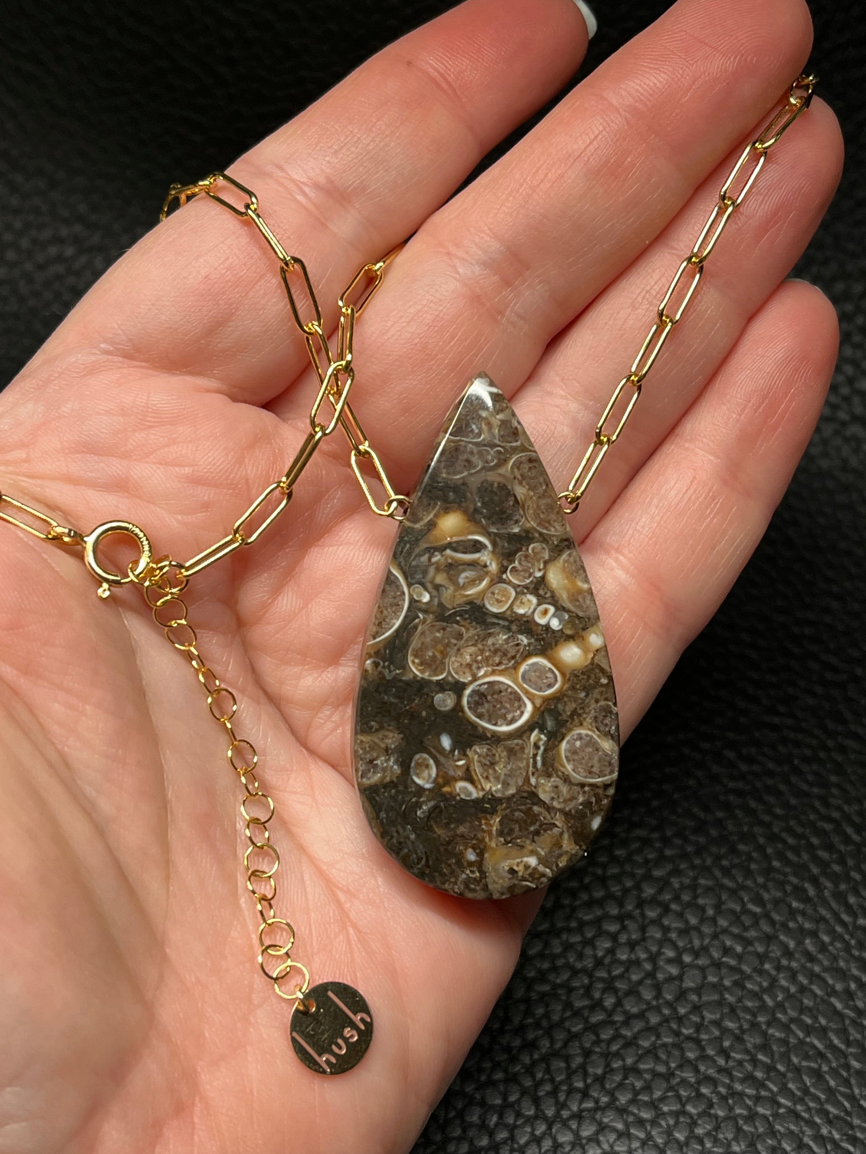 •AEON• turritella fossil + gold necklace (18"-20")