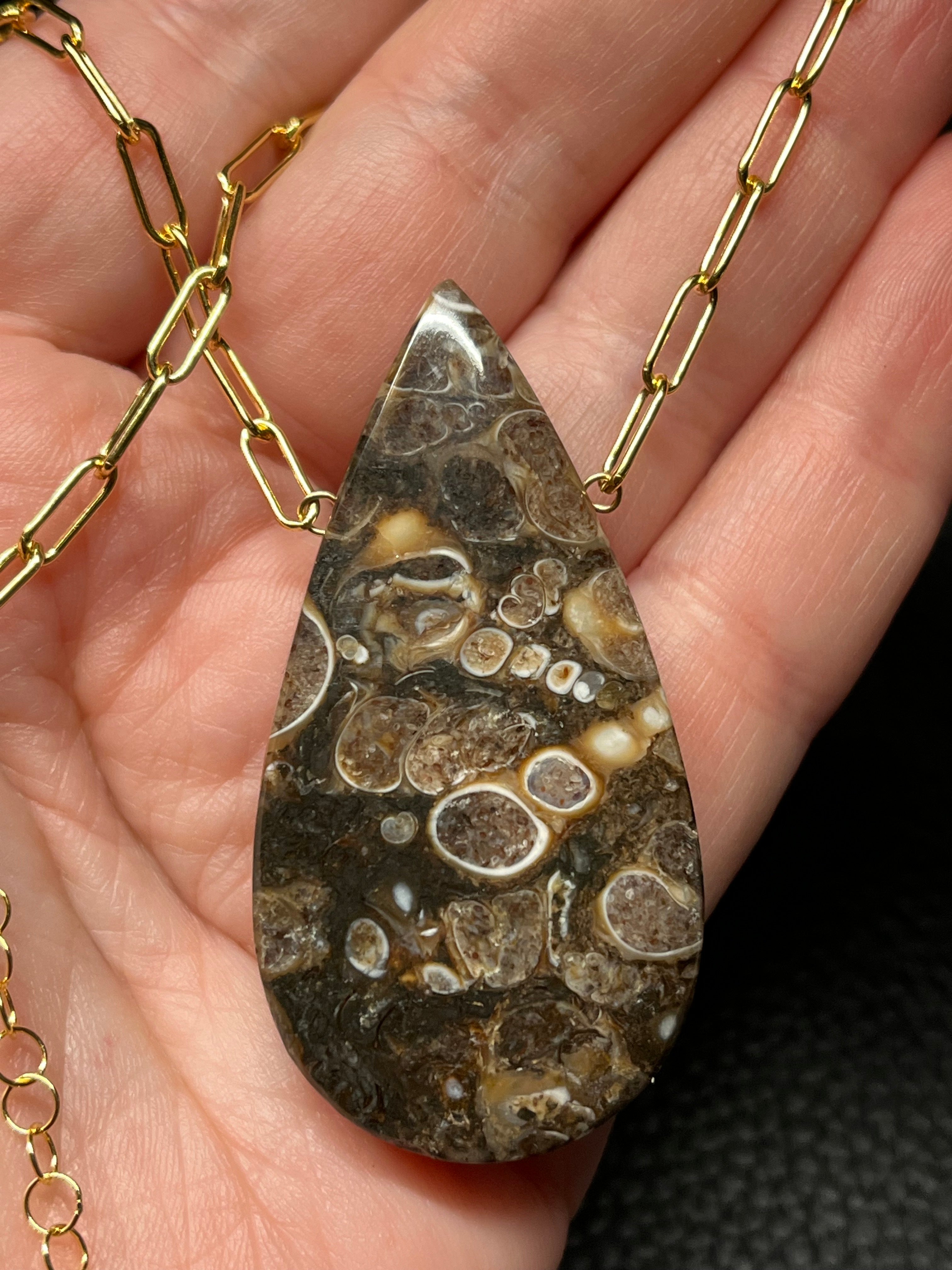 •AEON• turritella fossil + gold necklace (18"-20")