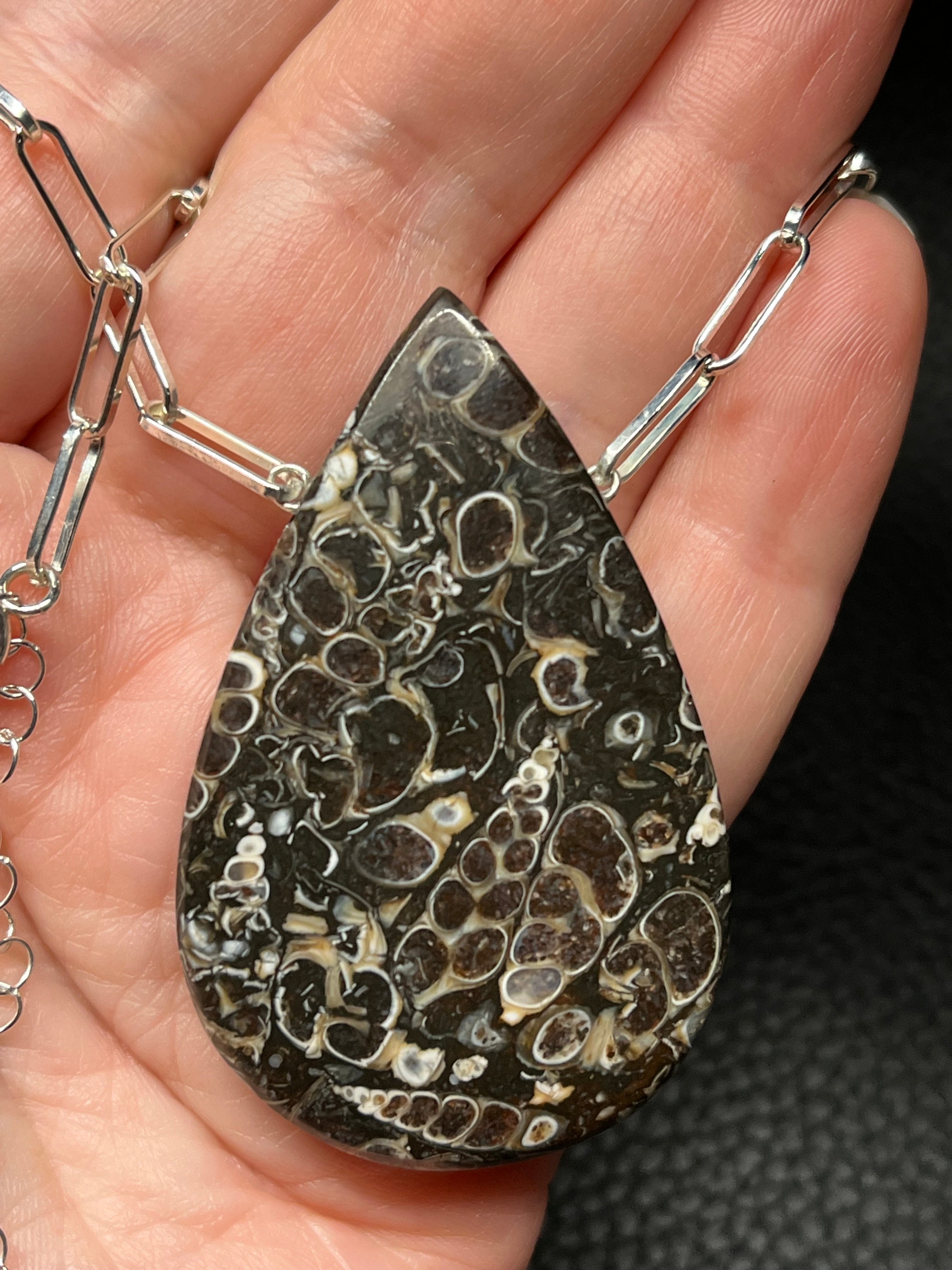 •AEON• turritella fossil + silver necklace (18"-20")