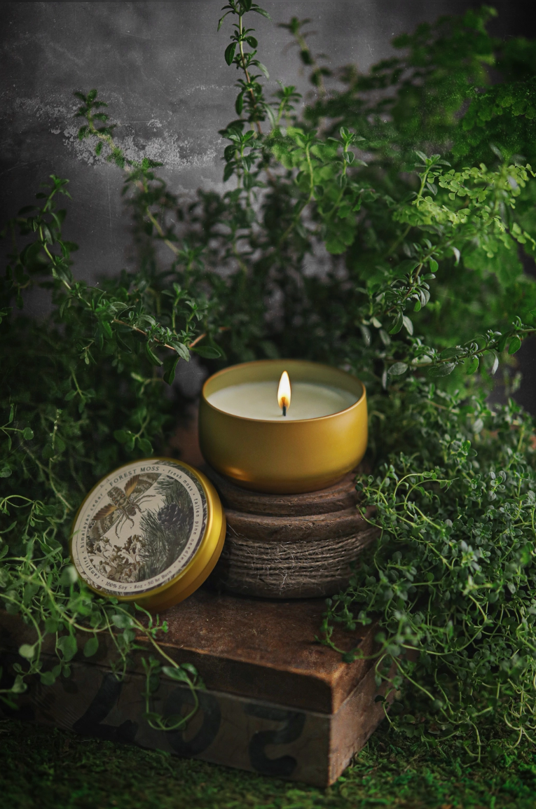 •FOREST MOSS• botanica tin candle