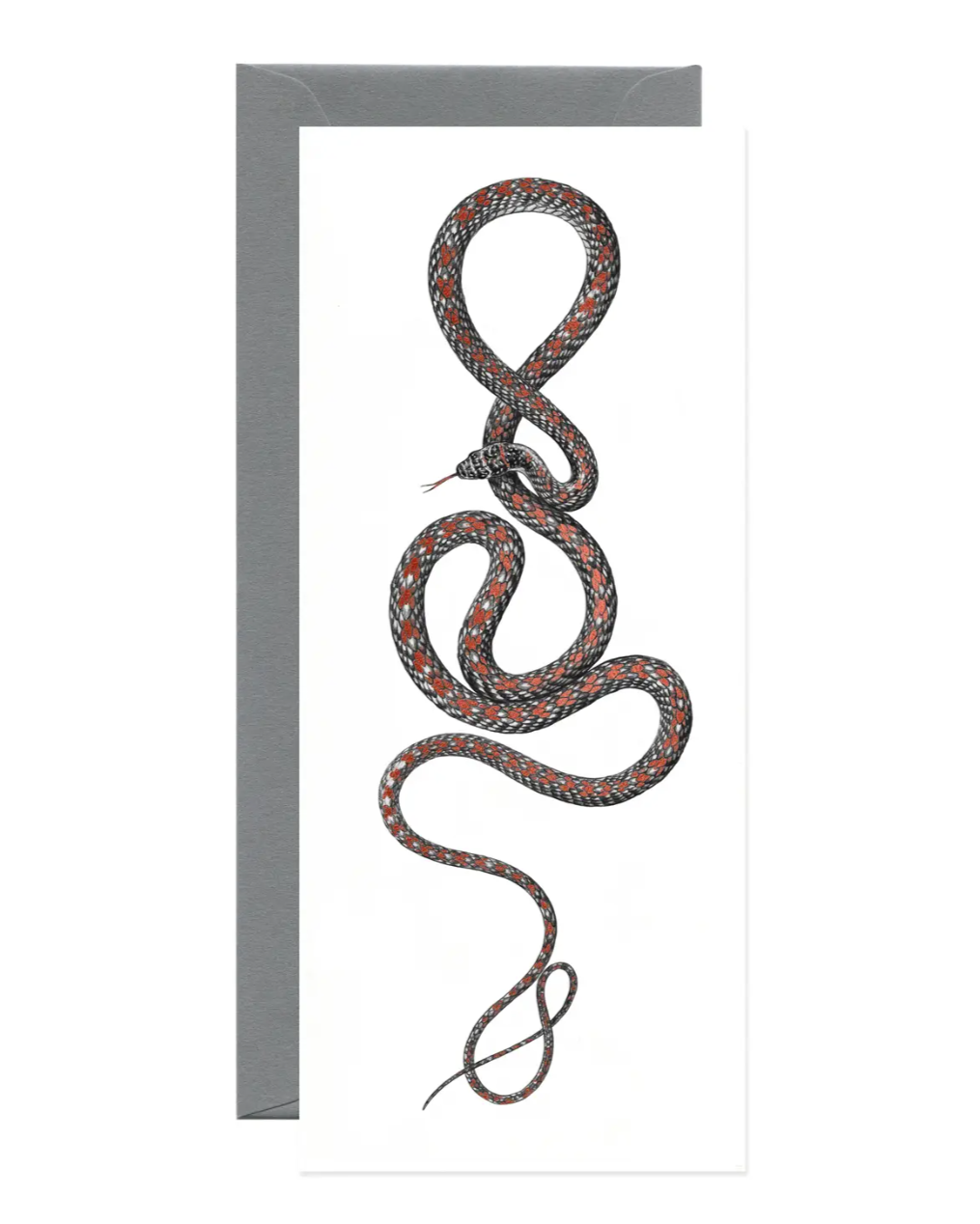 •PARADISE FLYING SNAKE• foil greeting card