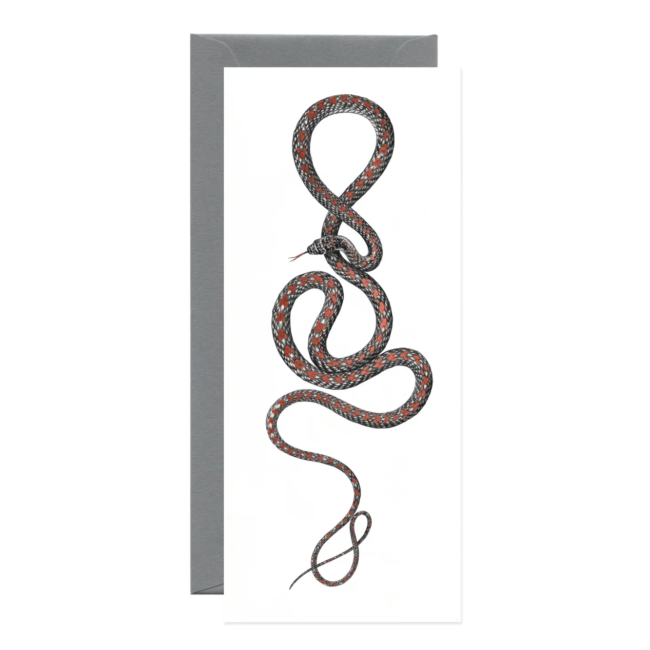 •PARADISE FLYING SNAKE• foil greeting card