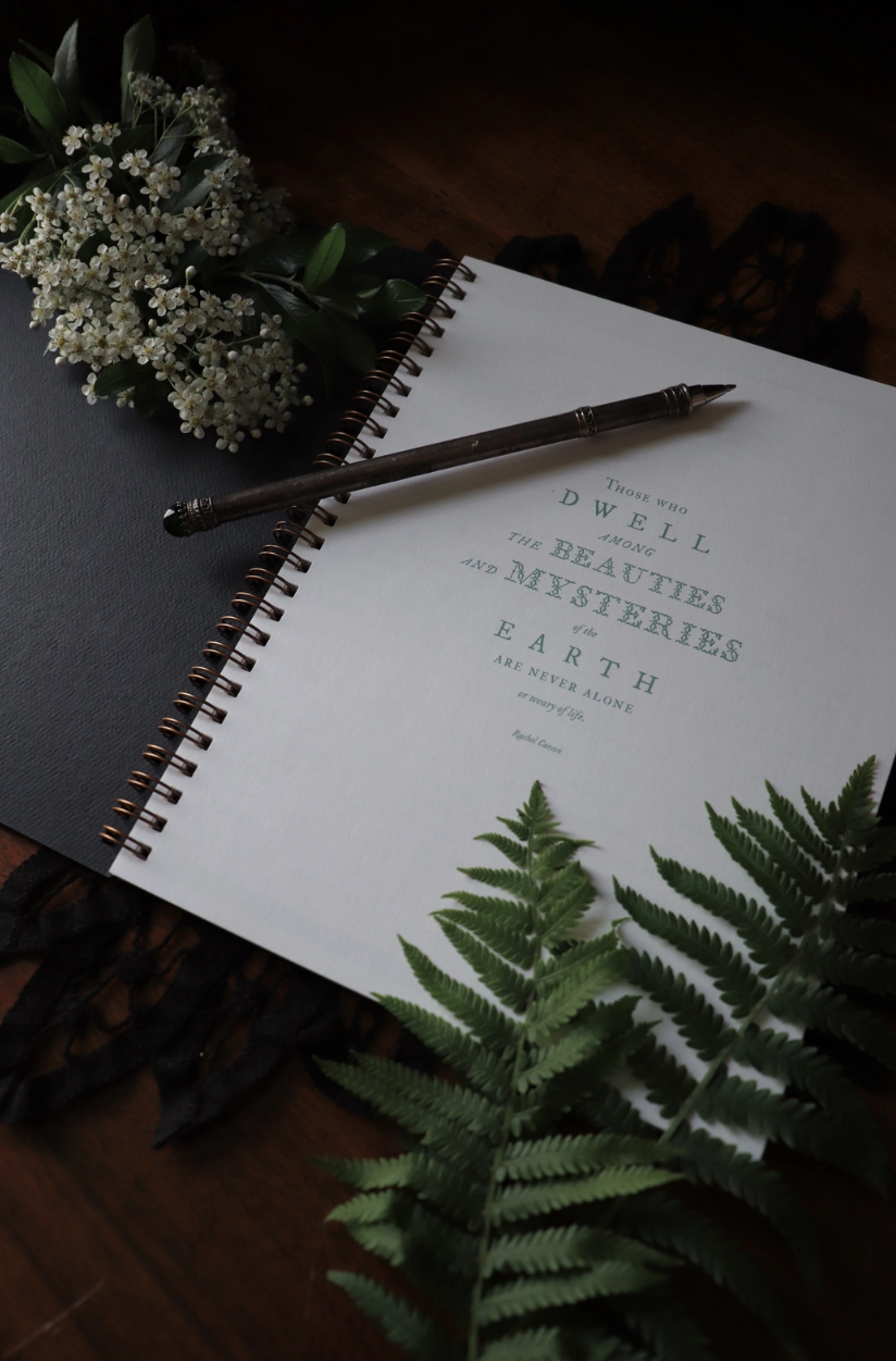 •THE GARDEN• plant care journal