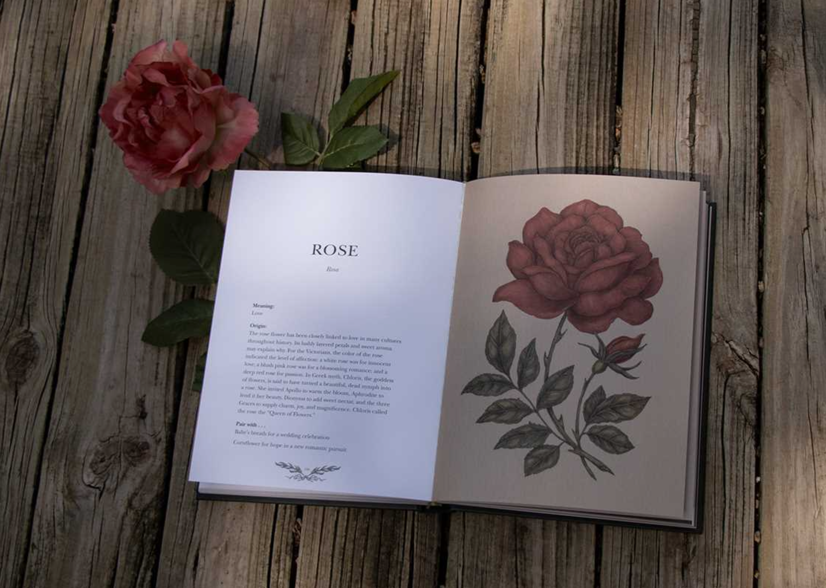 •FLORIOGRAPHY• hardcover book