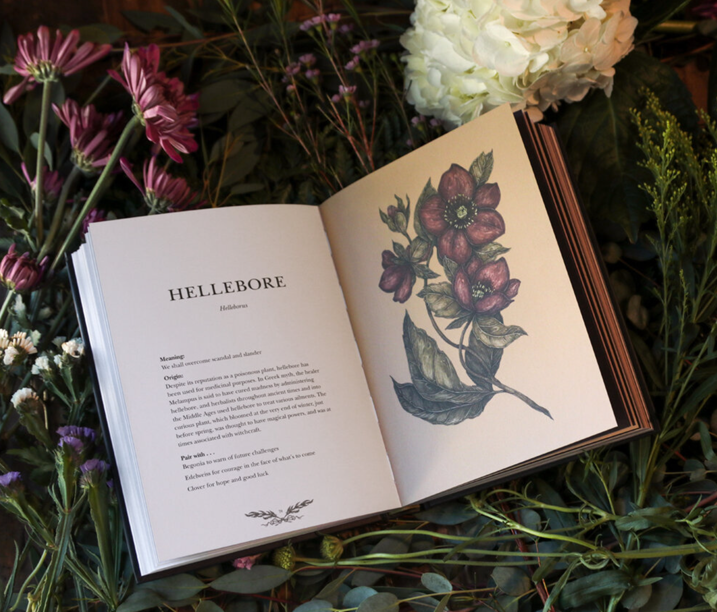 •FLORIOGRAPHY• hardcover book