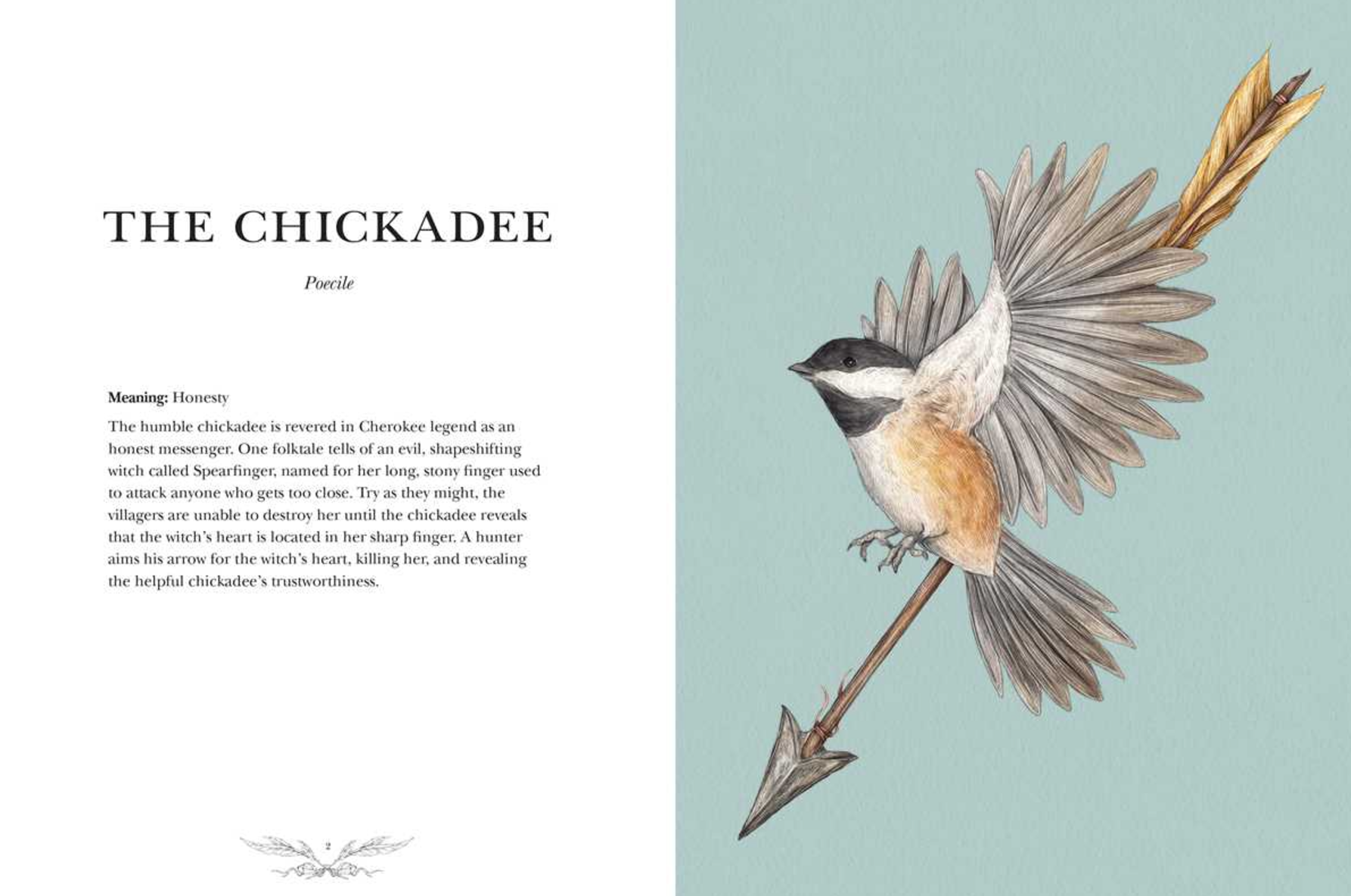 •ORNITHOGRAPHY• hardcover book