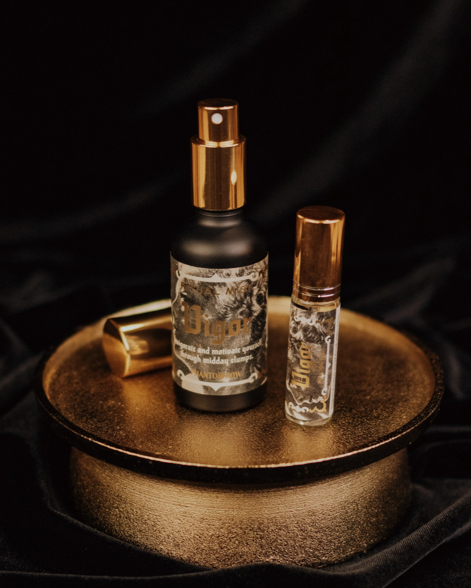 •VIGOR• ritual mist (various sizes)