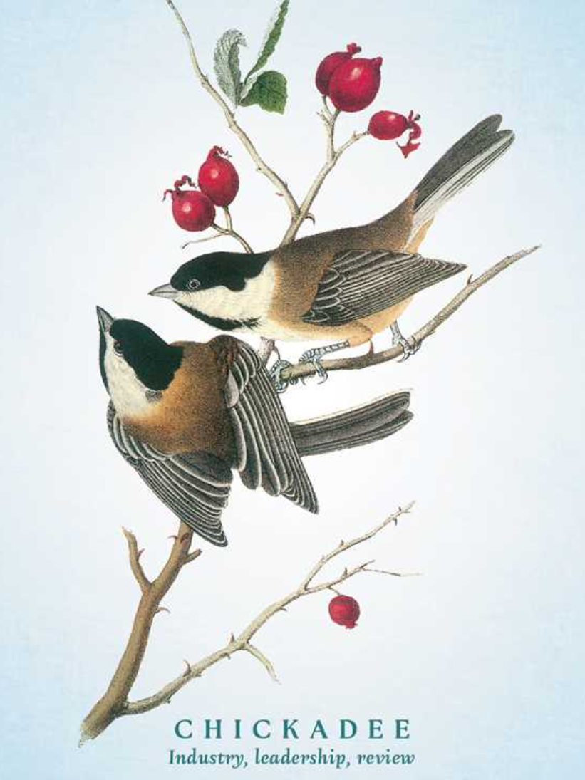 •SPIRITUAL MEANING OF BIRDS• oracle deck