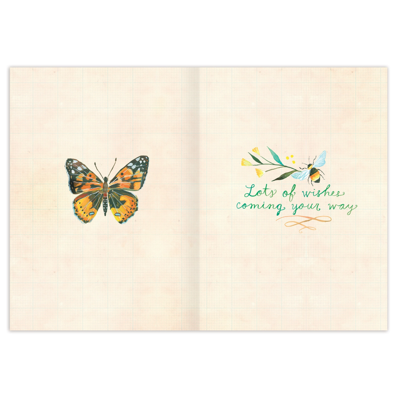 •BUTTERFLIES & BEES• birthday card