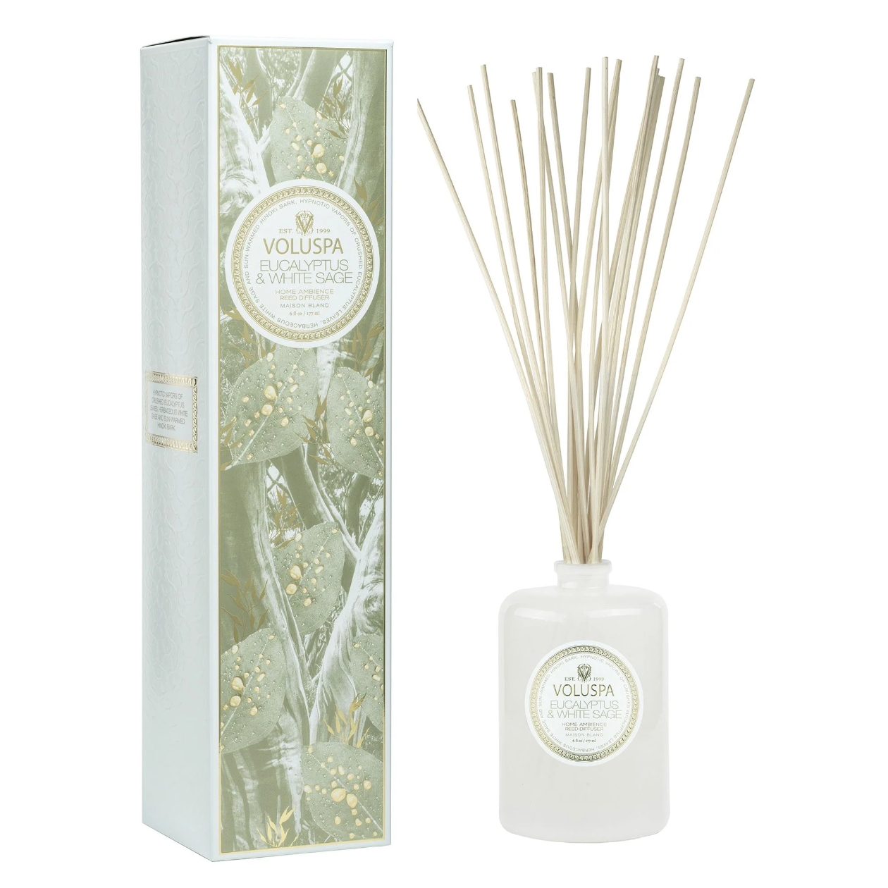 •EUCALYPTUS & WHITE SAGE• fragrance