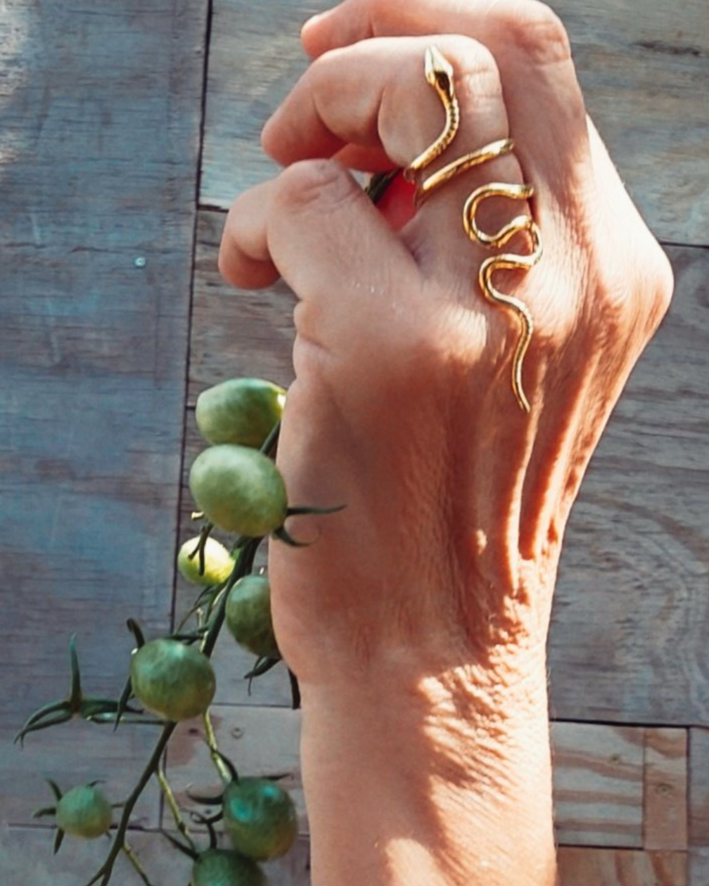 •SERPENT• adjustable brass ring