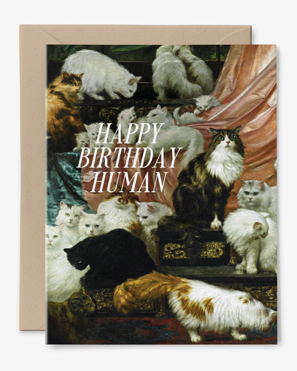 •HAPPY BIRTHDAY HUMAN• greeting card