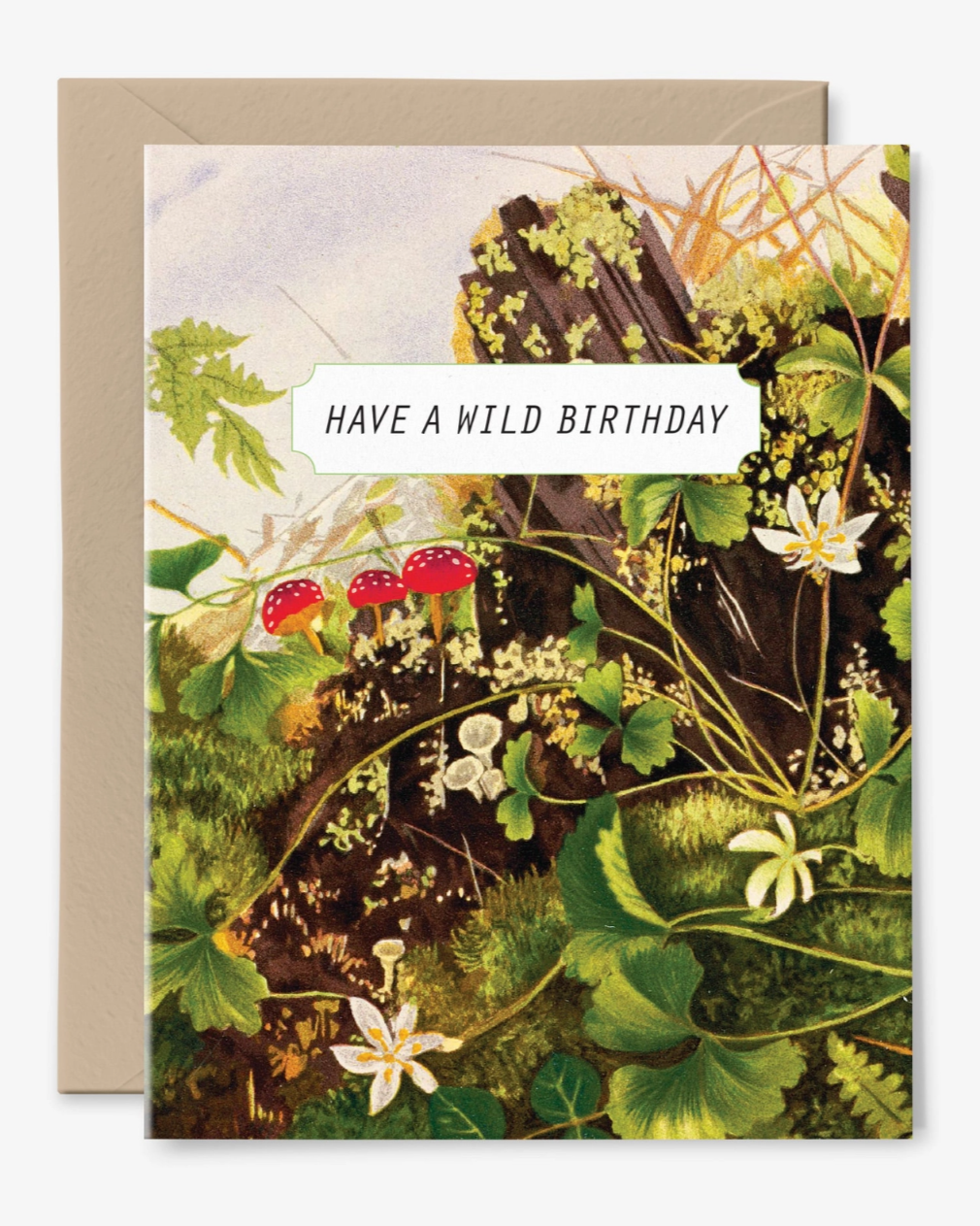 •HAVE A WILD BIRTHDAY• greeting card