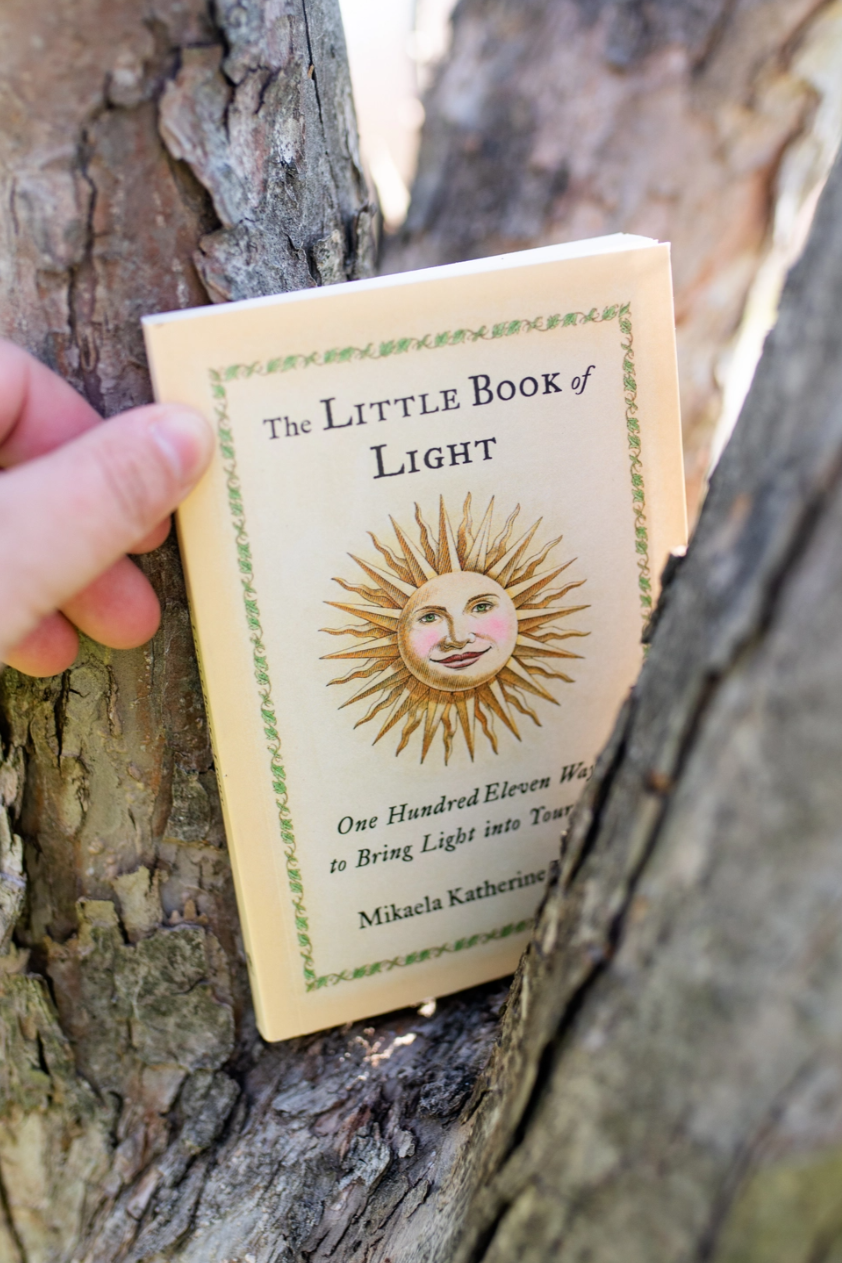 •THE LITTLE BOOK OF LIGHT• paperback book