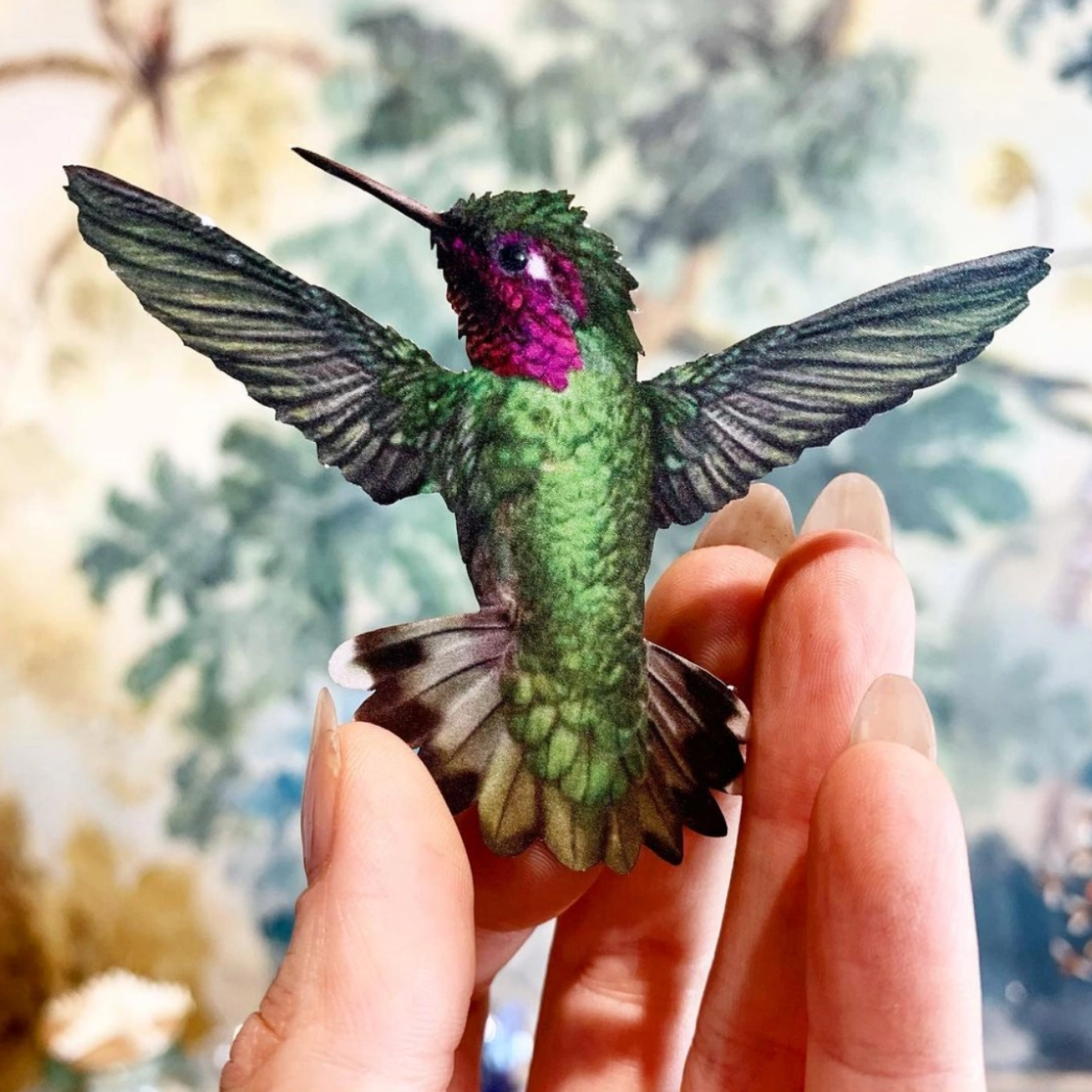 •FLUTTER• hummingbird fine paper specimens