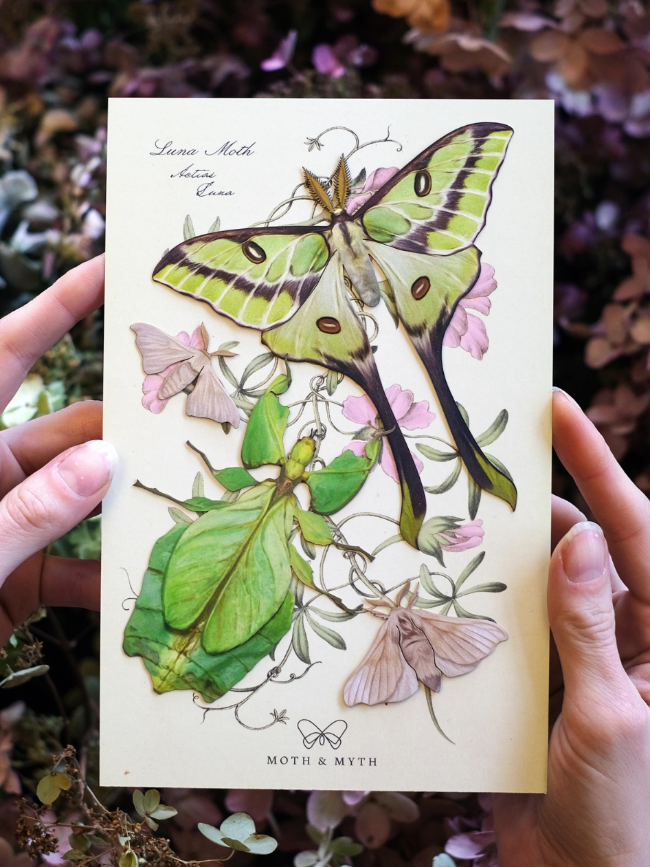 •LEAF• moth + leaf bug fine paper specimens