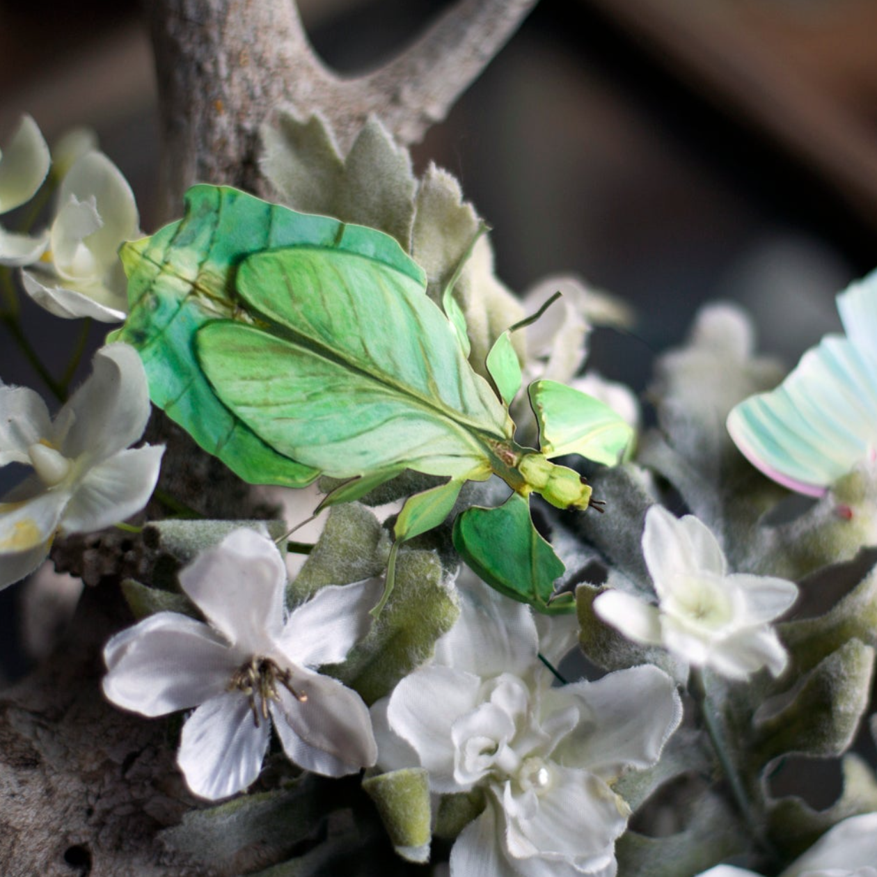 •LEAF• moth + leaf bug fine paper specimens