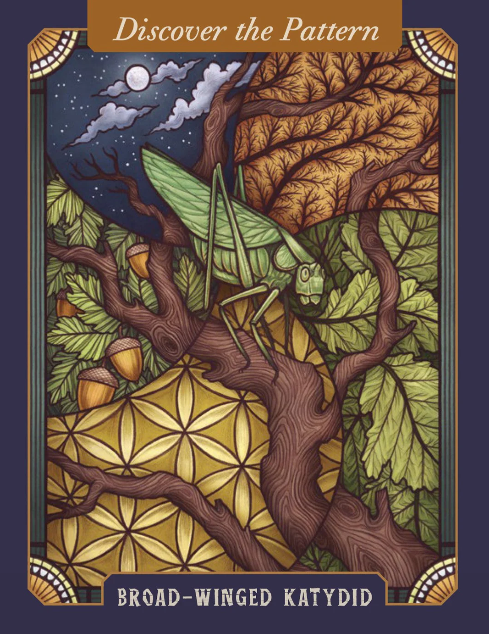•THE ILLUSTRATED BESTIARY• oracle deck