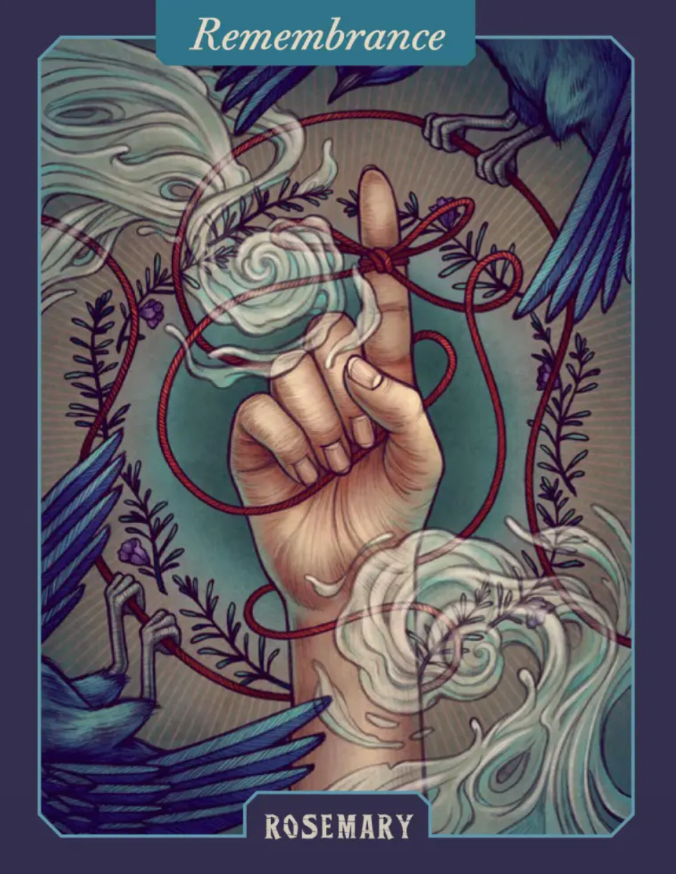 •THE ILLUSTRATED HERBIARY• oracle deck
