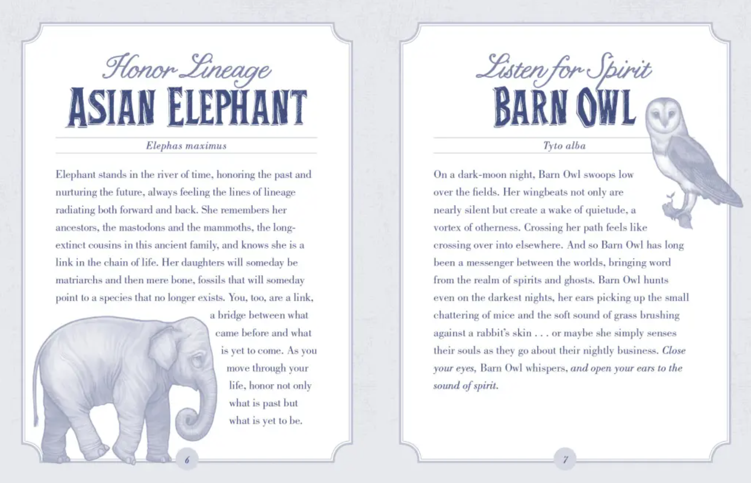 •THE ILLUSTRATED BESTIARY• oracle deck