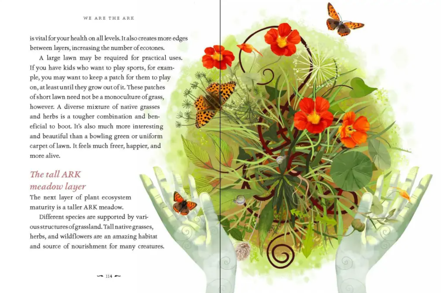 •WE ARE THE ARK• hardcover book