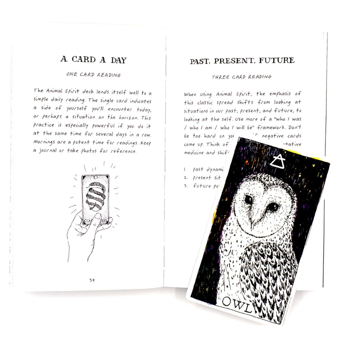 •THE WILD UNKNOWN - ANIMAL SPIRIT• full-size oracle deck