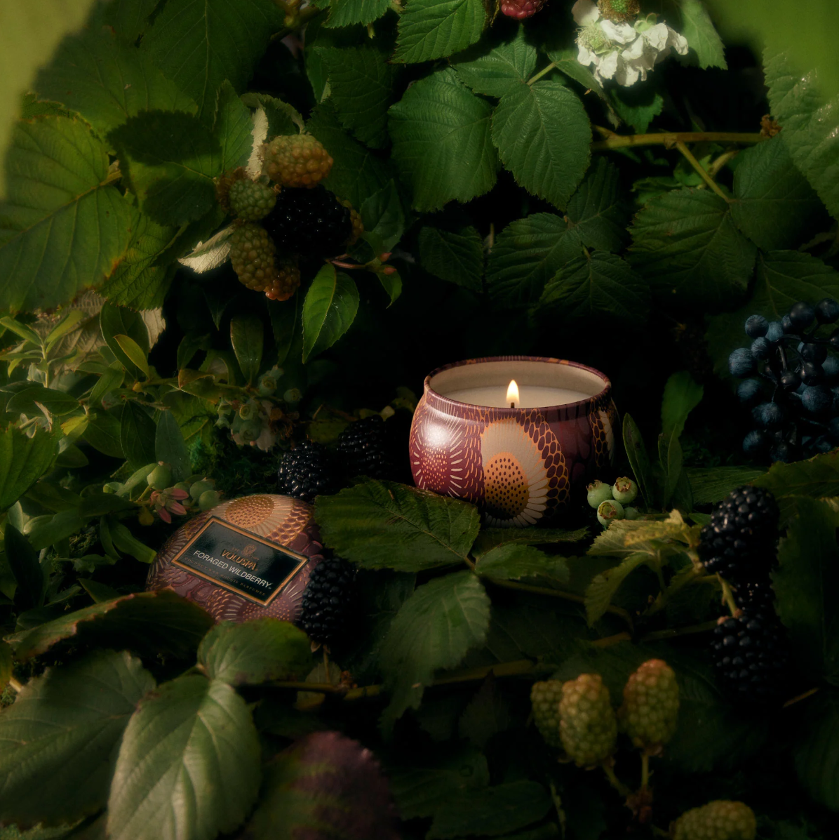 •FORAGED WILDBERRY• fragrance